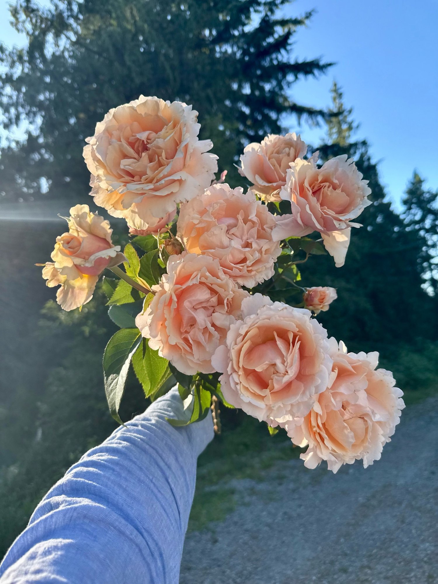 AF0CB5D0-4583-4124-A2EC-