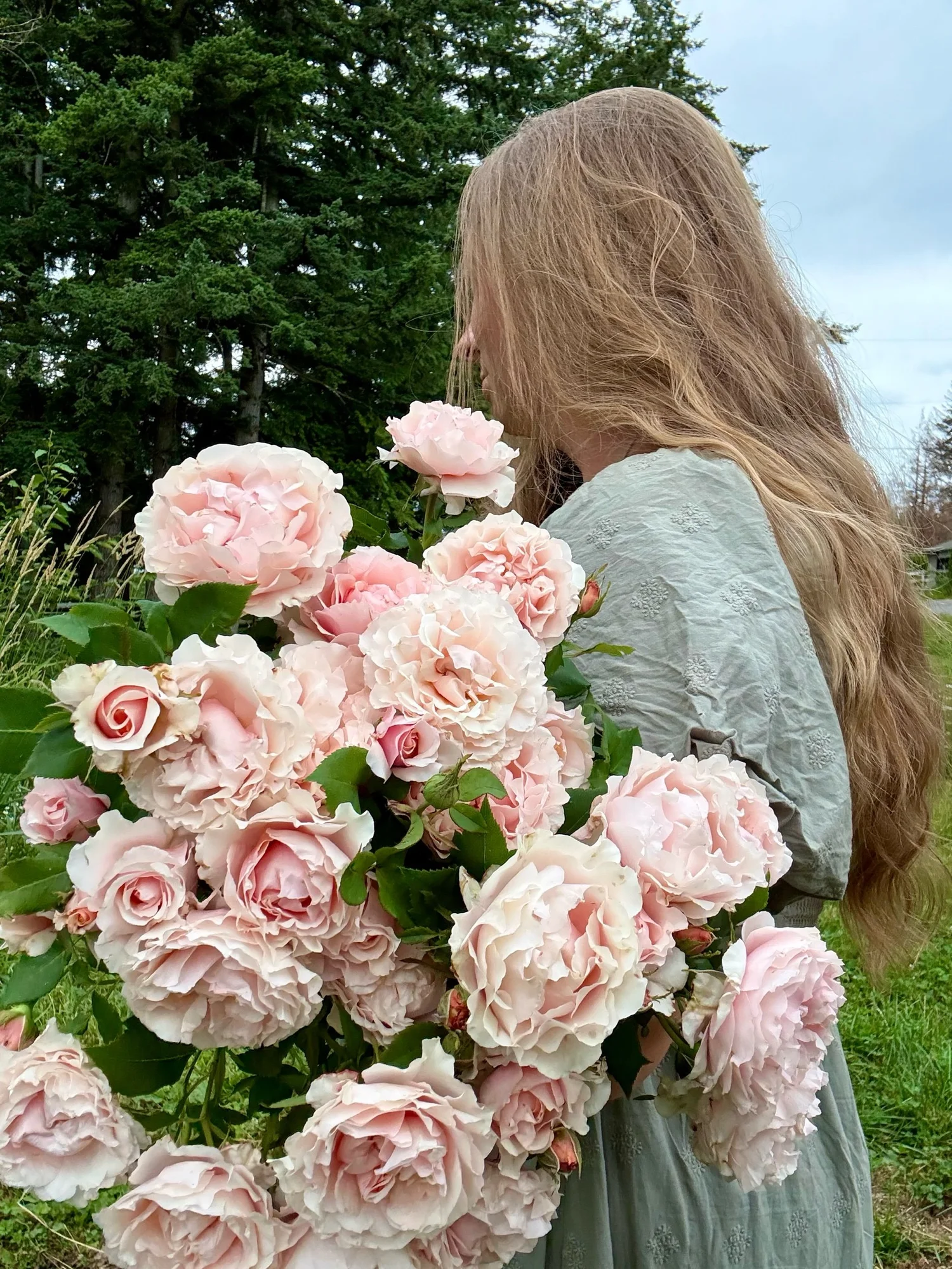 ✨Rose rose様大きめ42❣✨定価¥27500❣春夏セレブ〜豪華後ろフリル Pink Ruffles — Select Roses