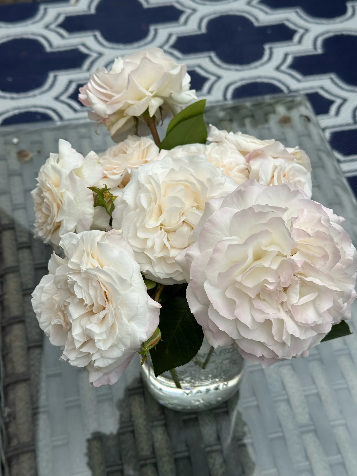 Pearl Ruffles ( previously Snow white) — Select Roses