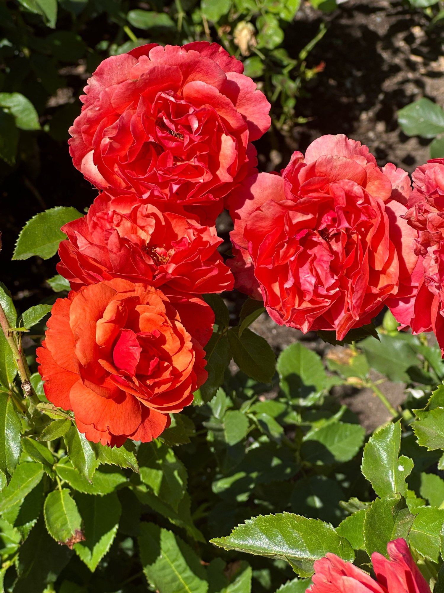 C943CB25-DF1D-4802-BCD3-