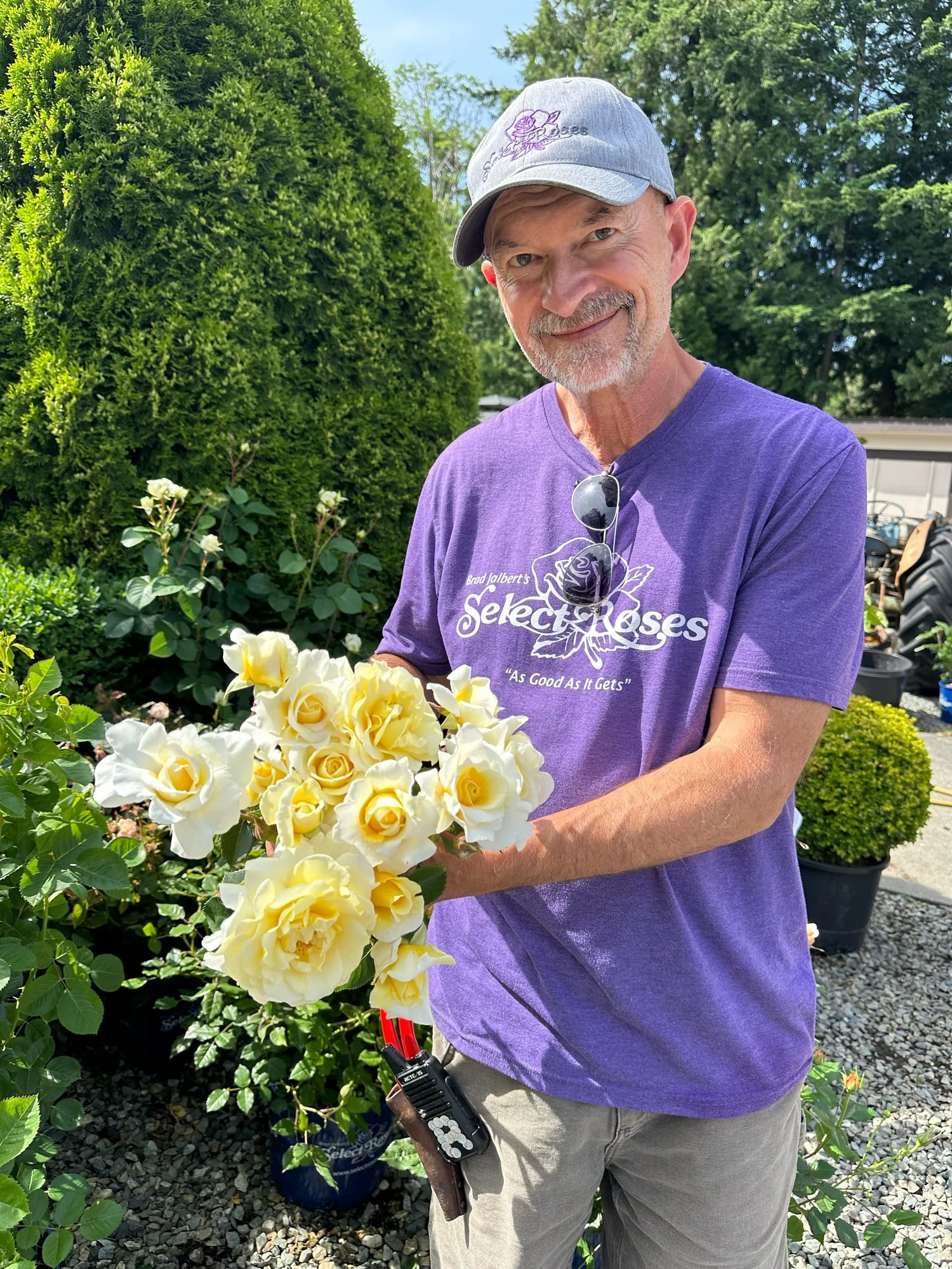 Sunny Side Up — Select Roses