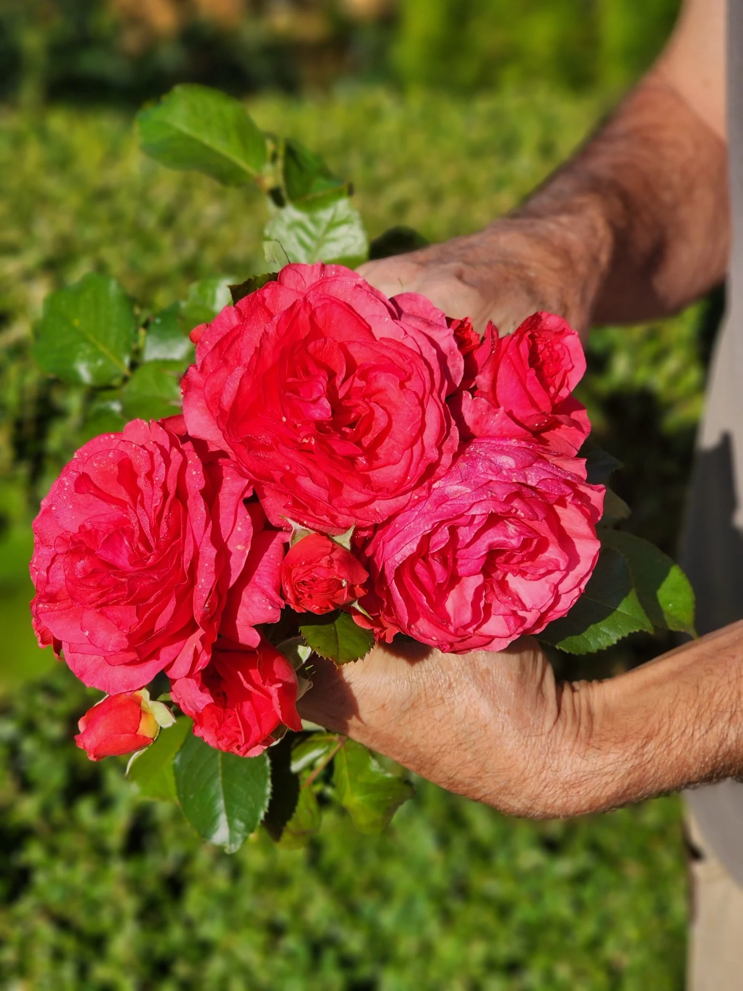 B1972863-BD59-465B-A88B-