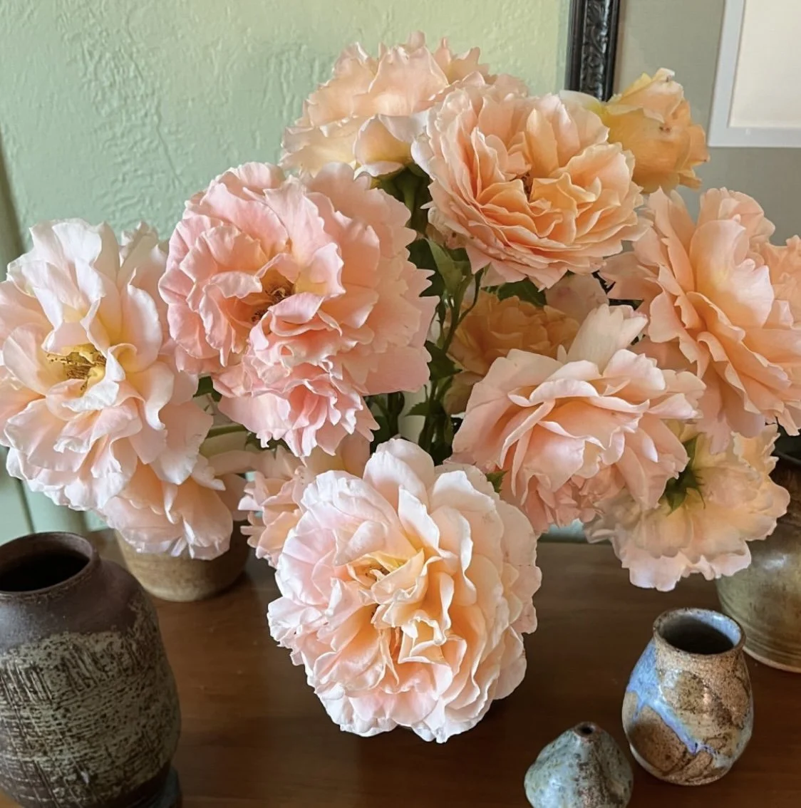 Polka — Select Roses
