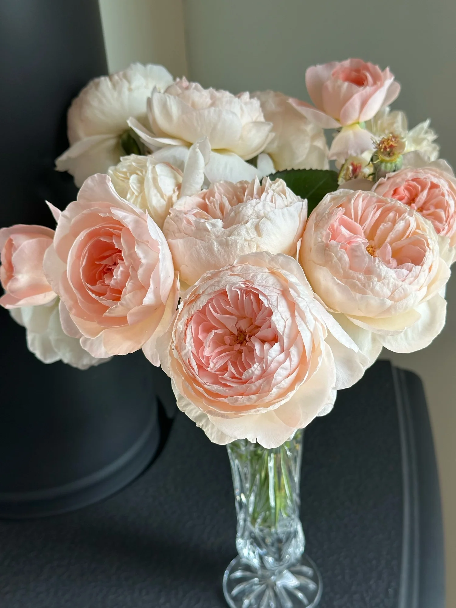 Reflecting Glory — Select Roses