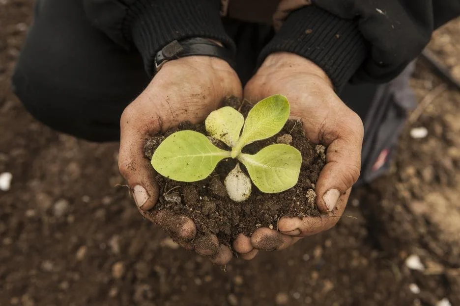 Living with or recovering from