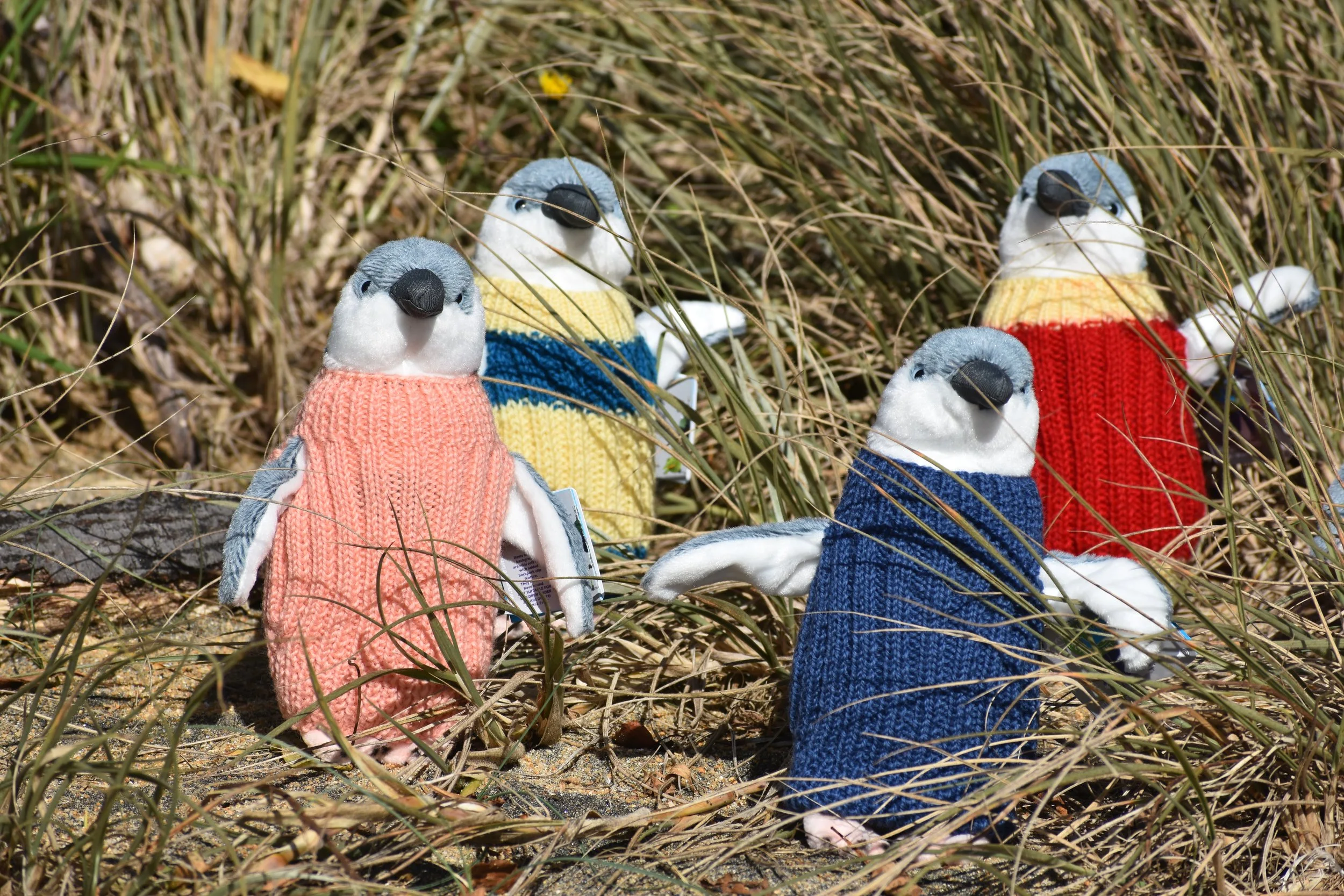 Penguins 4.JPG