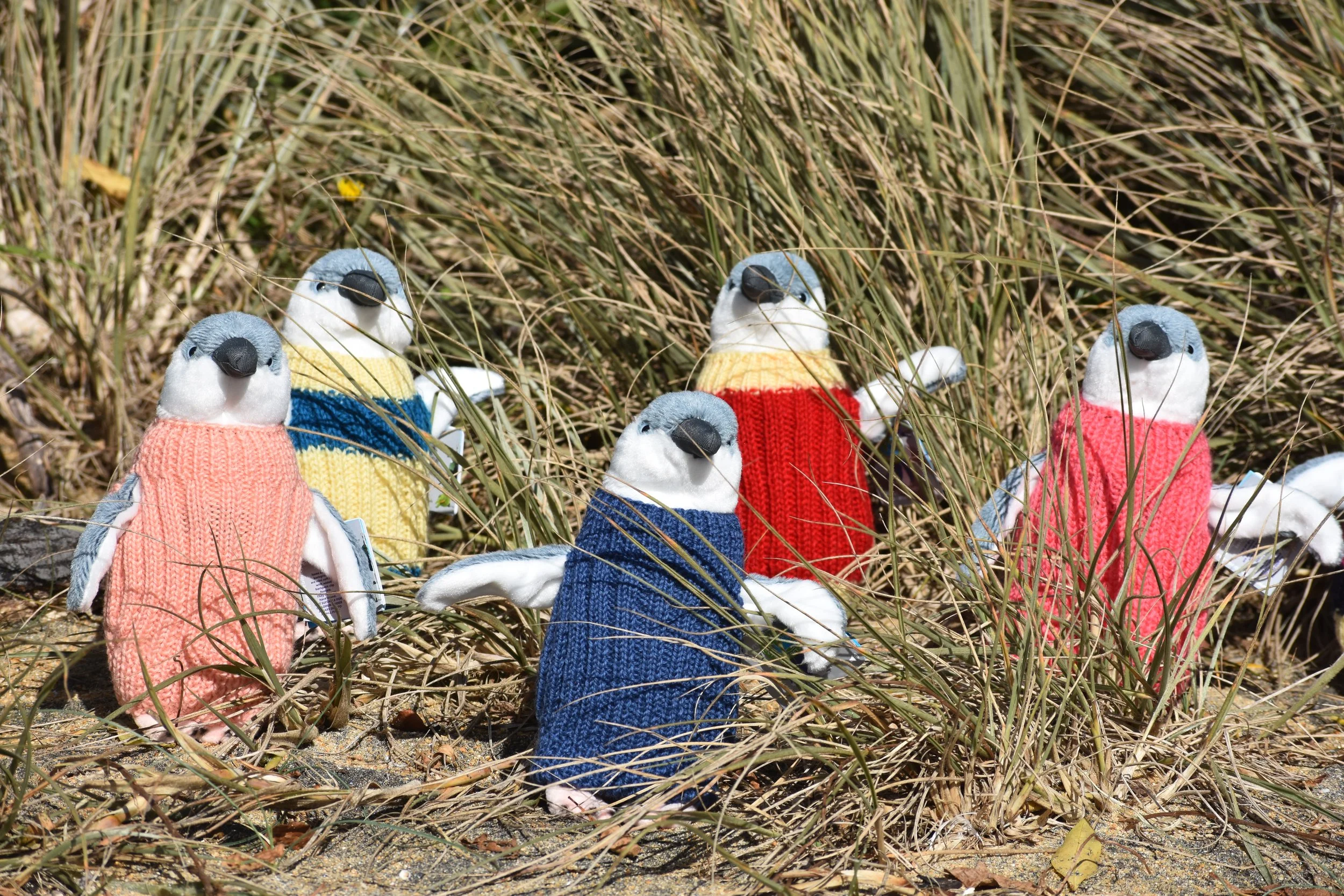 Penguins 5.JPG