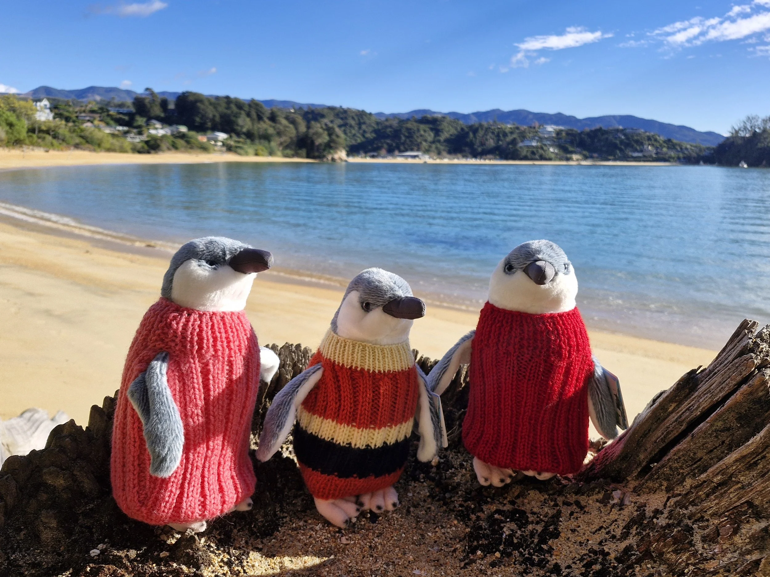 Bundle penguin toy and mug