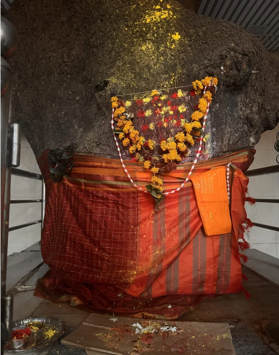 A shrine draped in red and orange cloth, garlanded with marigolds and dusted with turmeric and kumkum