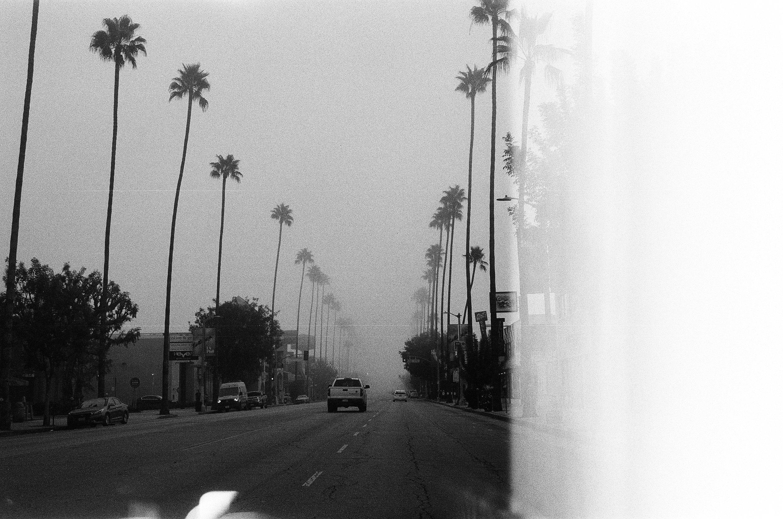Black and white photo of a street lined with tall palm trees, some cars parked on the sides, and a few moving on the road, with haze or fog in the background.