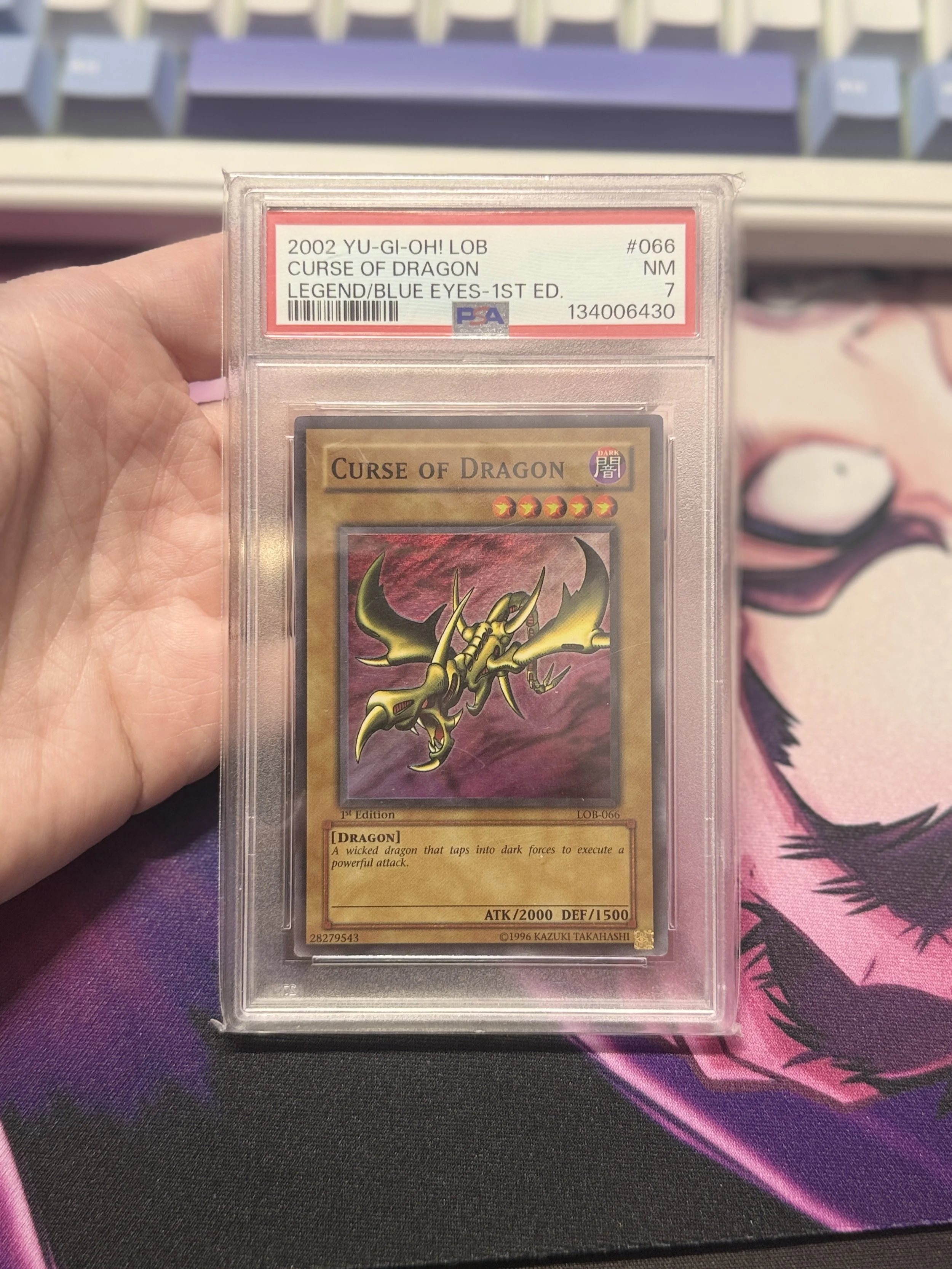 Curse of Dragon  Legend/Blue Eyes 1st Ed. PSA 7
