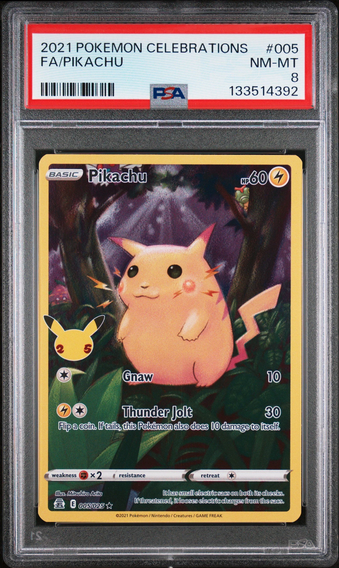 PIKACHU-Front-7yp3qtV6tE6qIs5Fm0lTgA.jpg