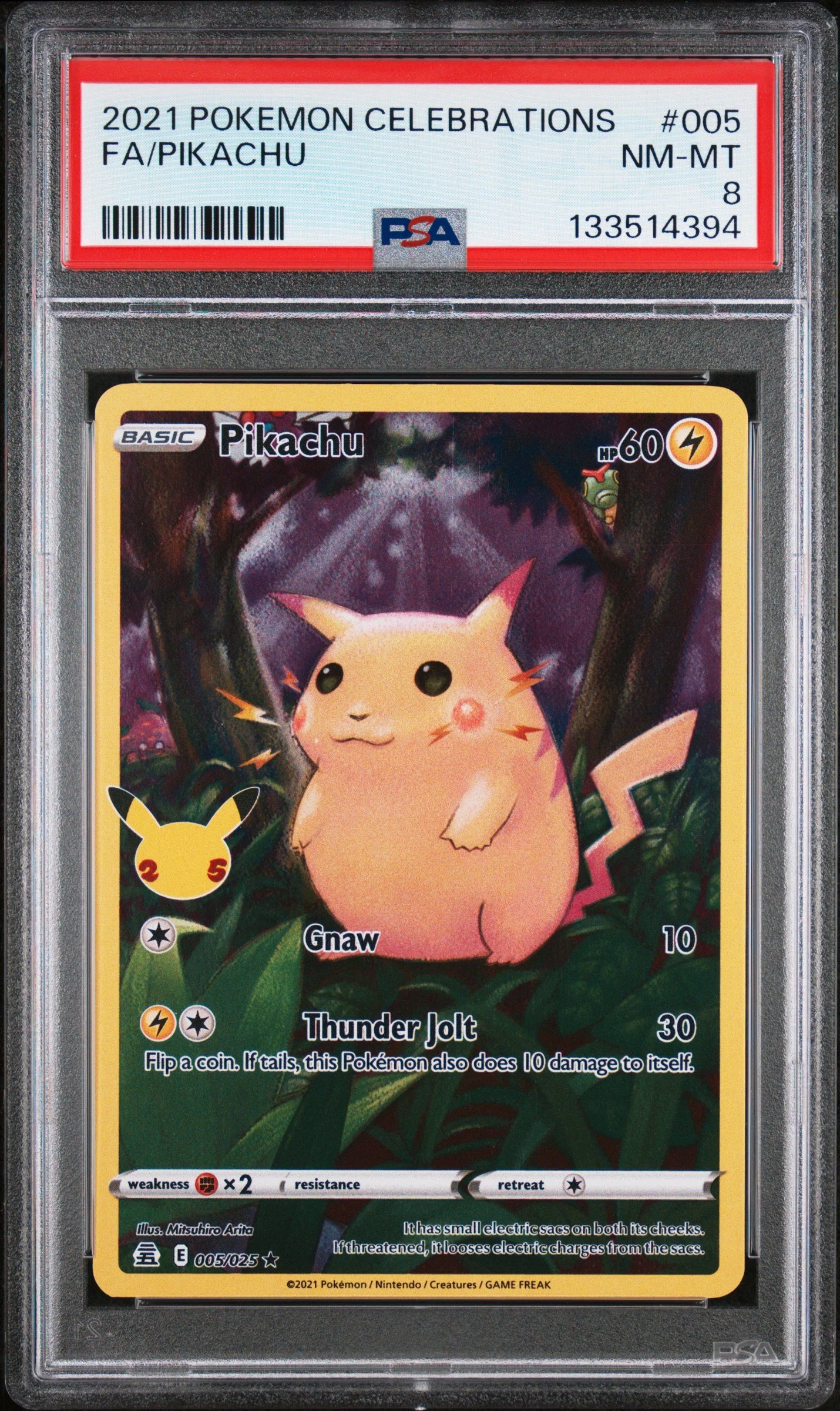 PIKACHU-Front-1nruSow69067PnO2J9C3pg.jpg