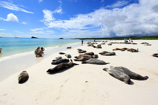 santa-cruz-island-galapagos4.jpg