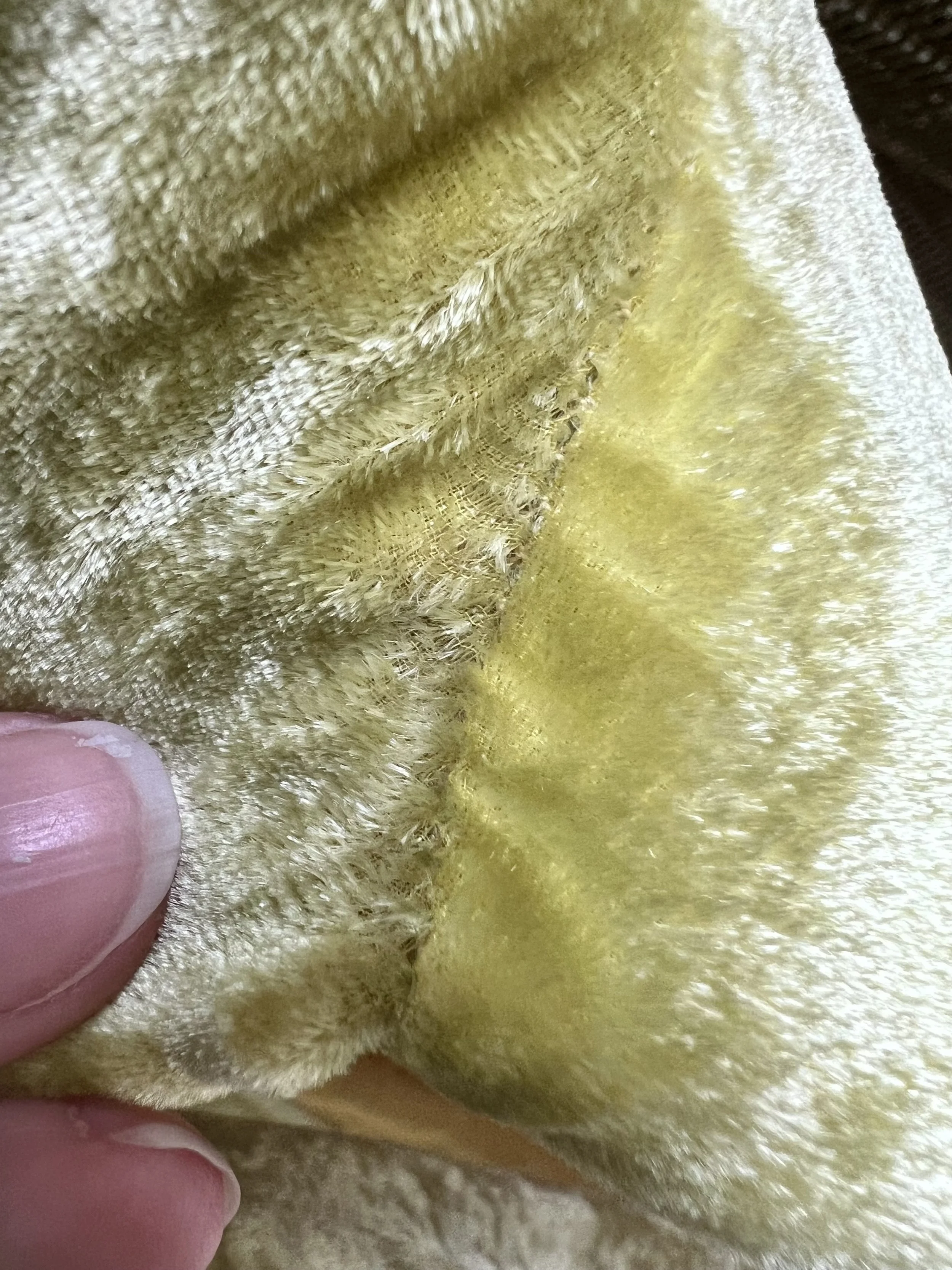 IMG_2847.jpeg