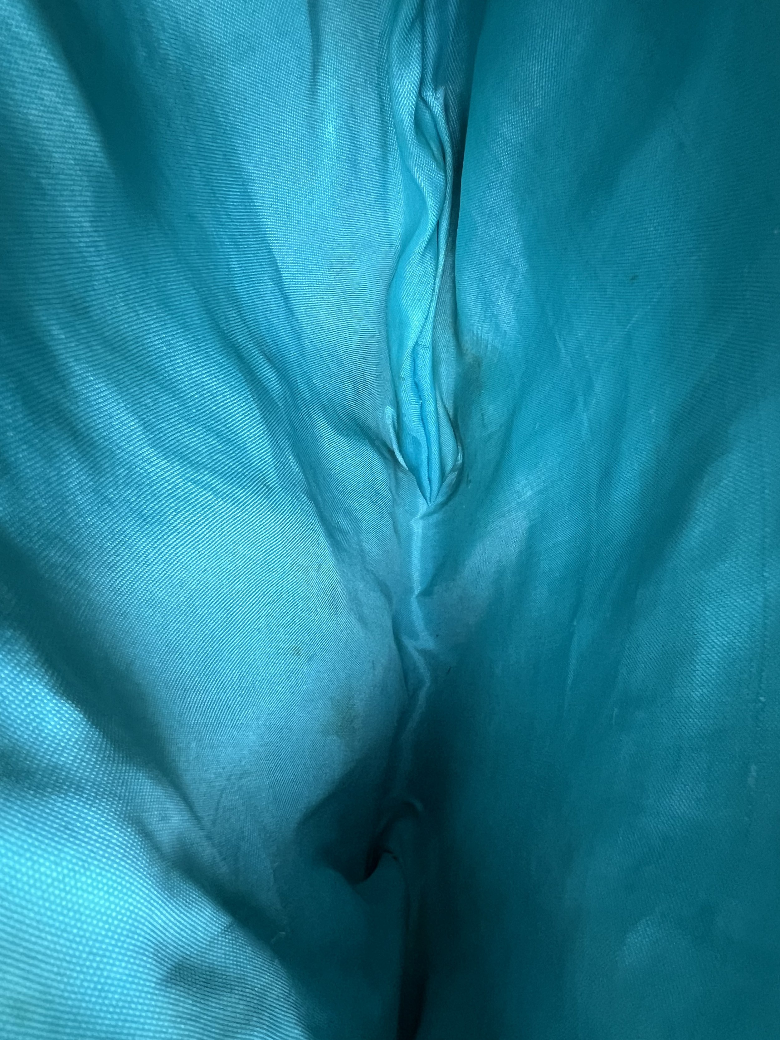 IMG_8384.jpeg