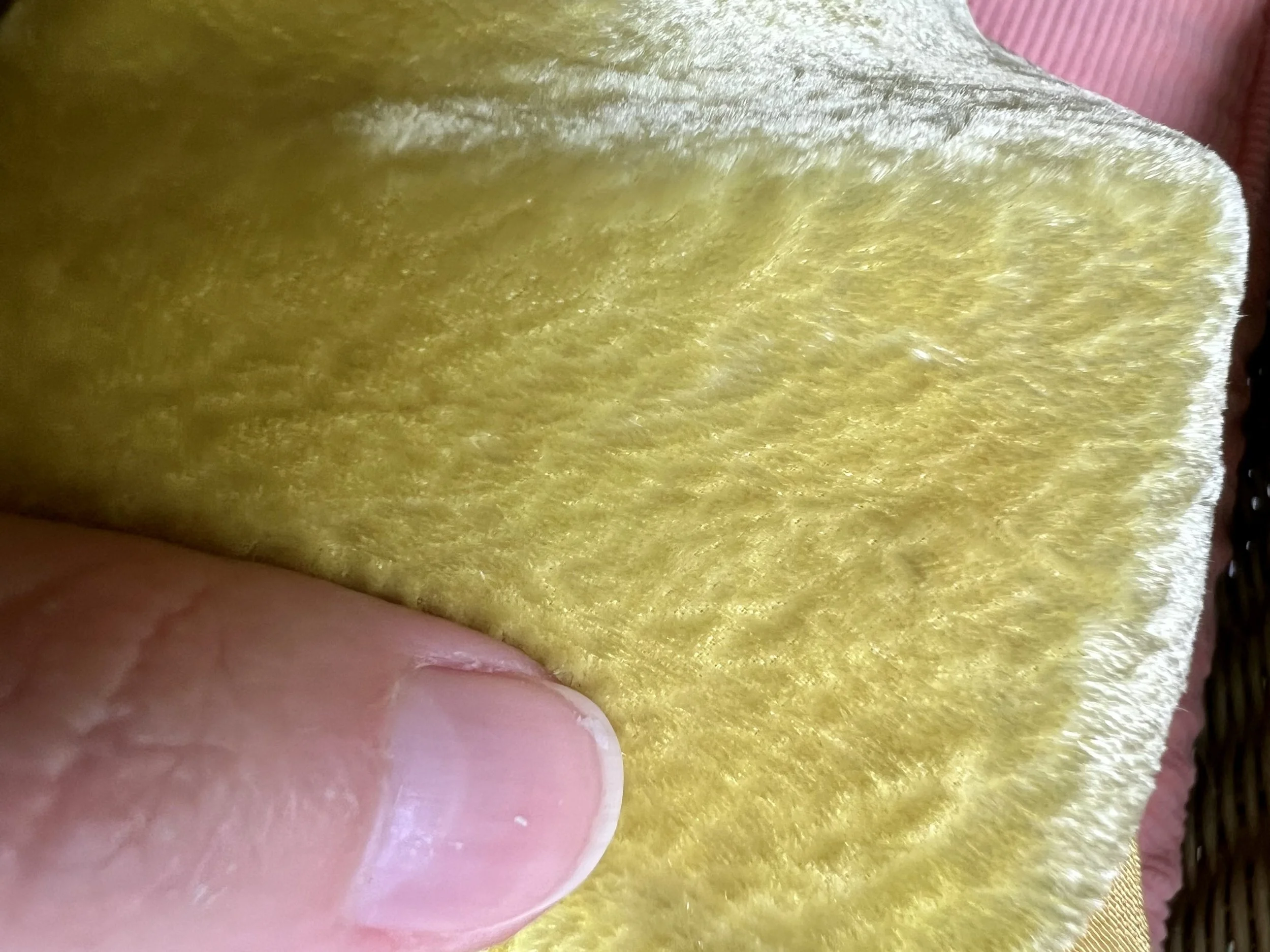 IMG_2832.jpeg