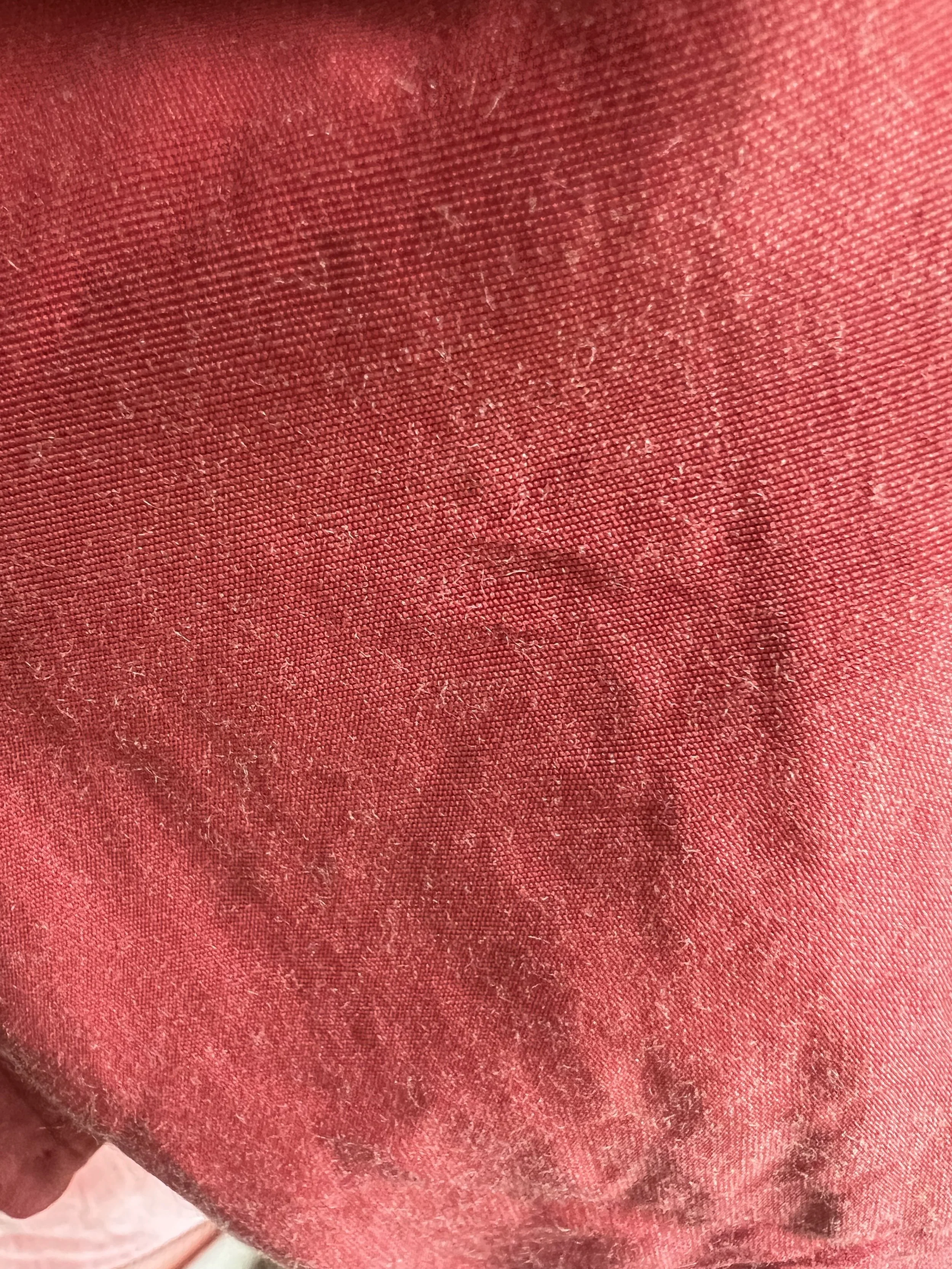 IMG_3818.jpeg