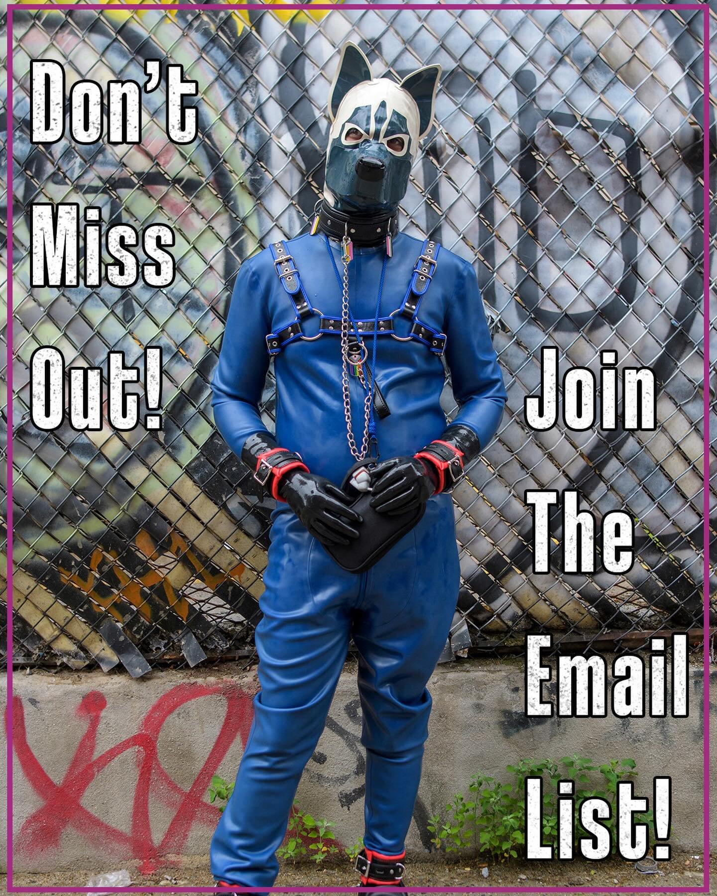 Every year, FSE receives messages from people who missed news about event dates and exhibitor/performer applications. We cannot trust social media to keep us in touch, so please join our email list to get all the important information. Link in bio! ?