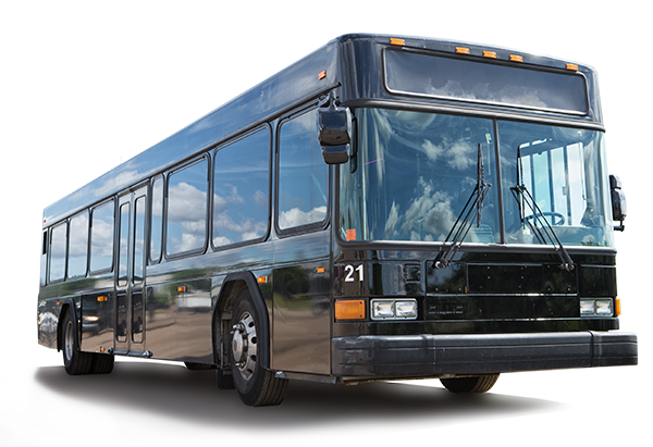 fun run party buses 11.png