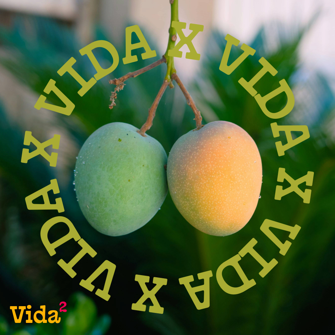 vidax2-mangos copy.png