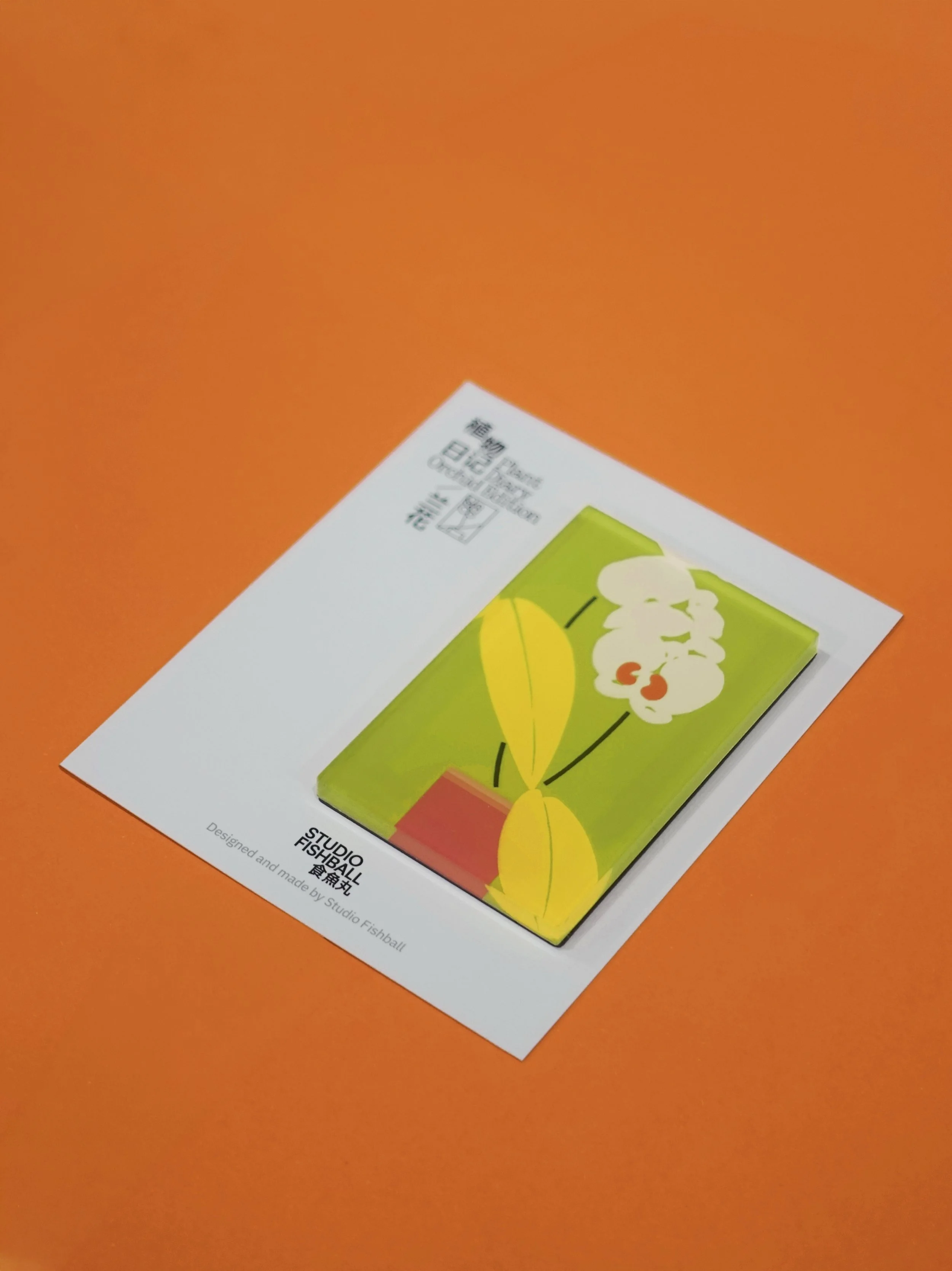 FM_兰花07_01.jpg