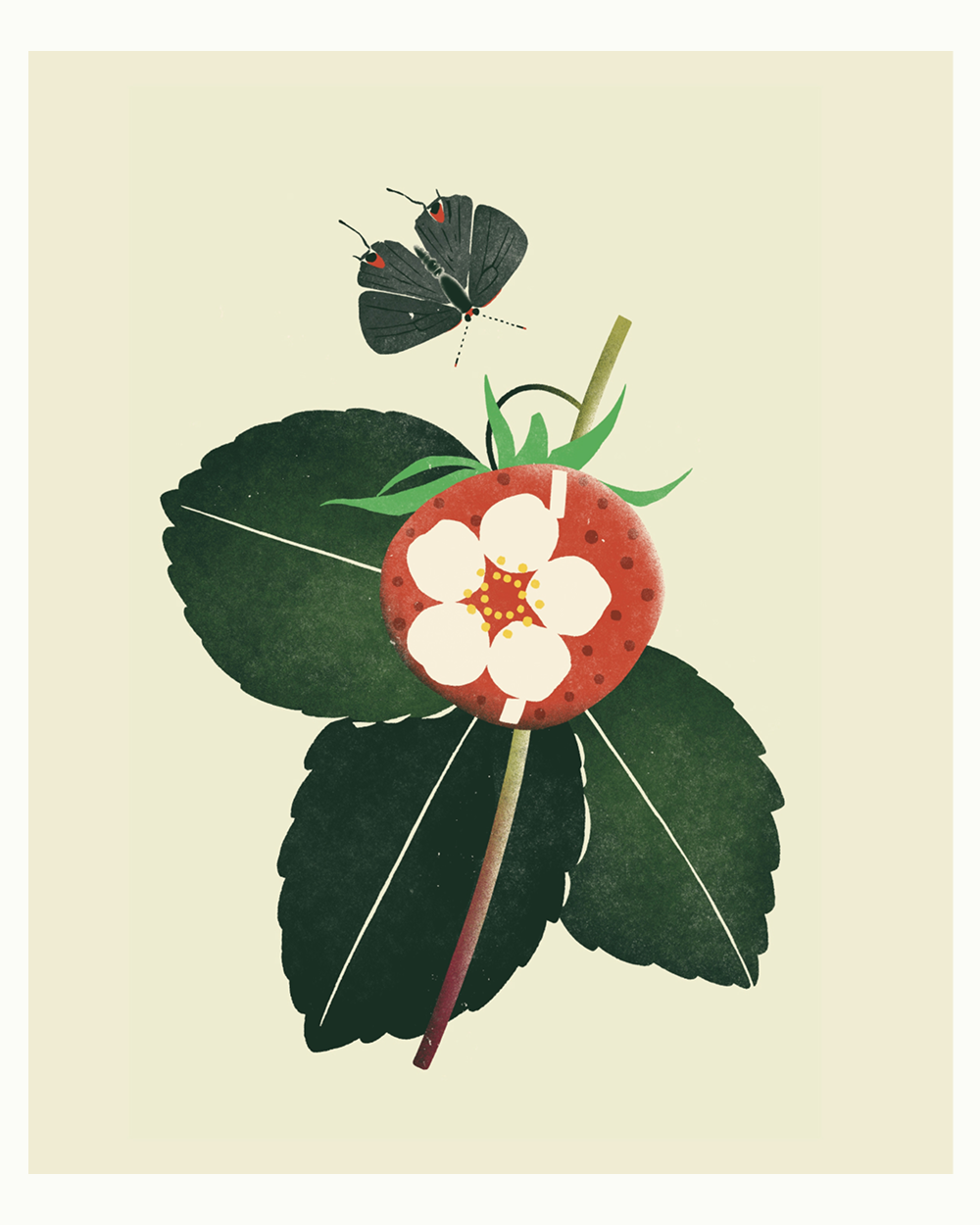 keap_illustrations-2.png