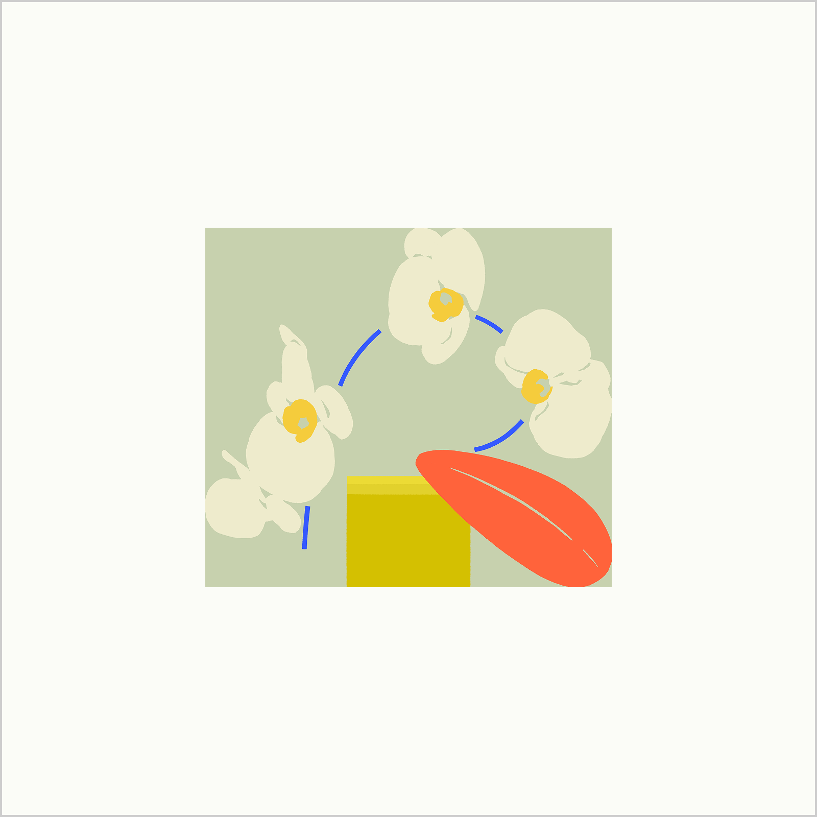 Plant Diary: Orchid Edition 06