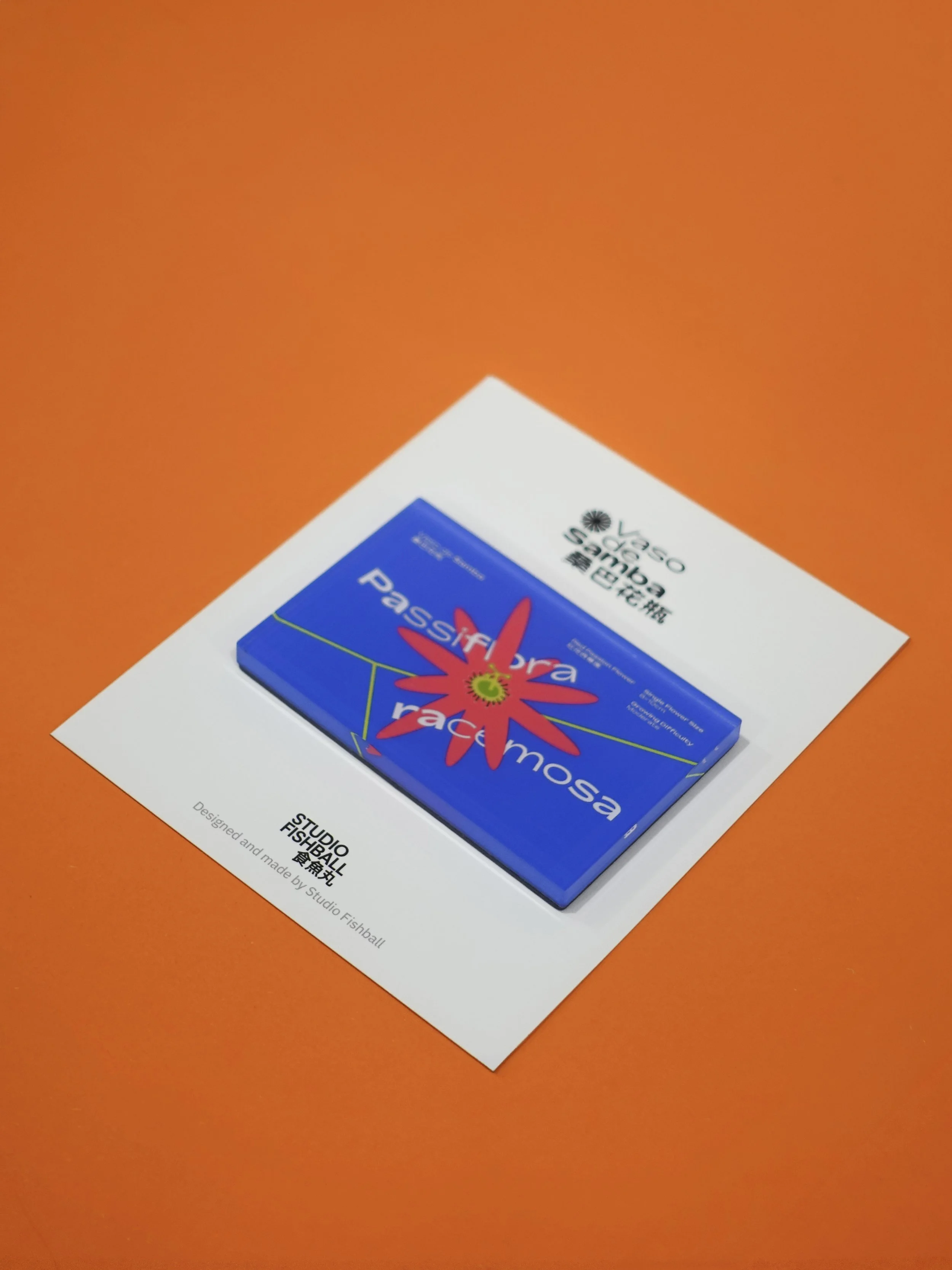 FM_桑巴01_01.jpg