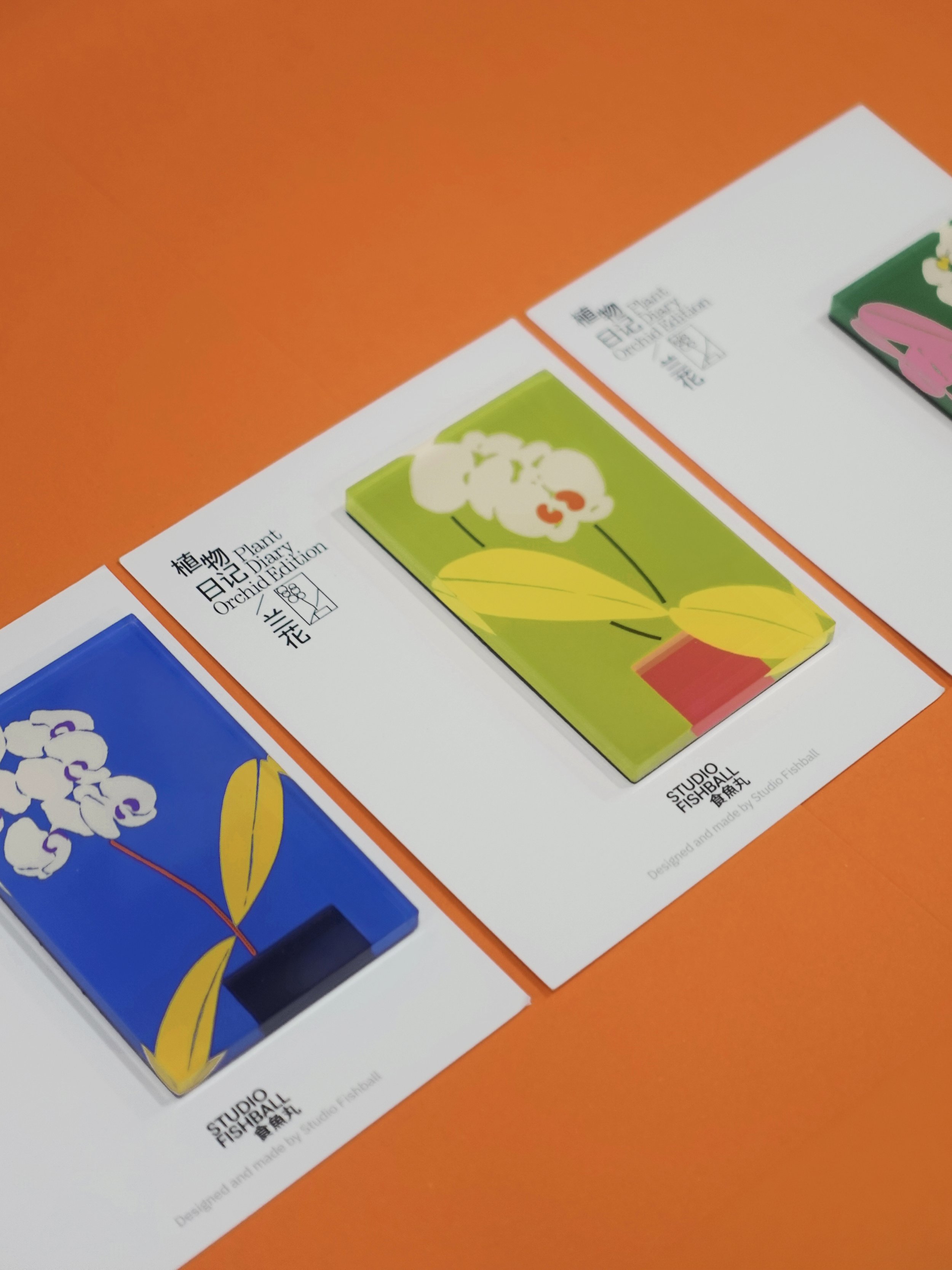 FM_兰花00_02.jpg