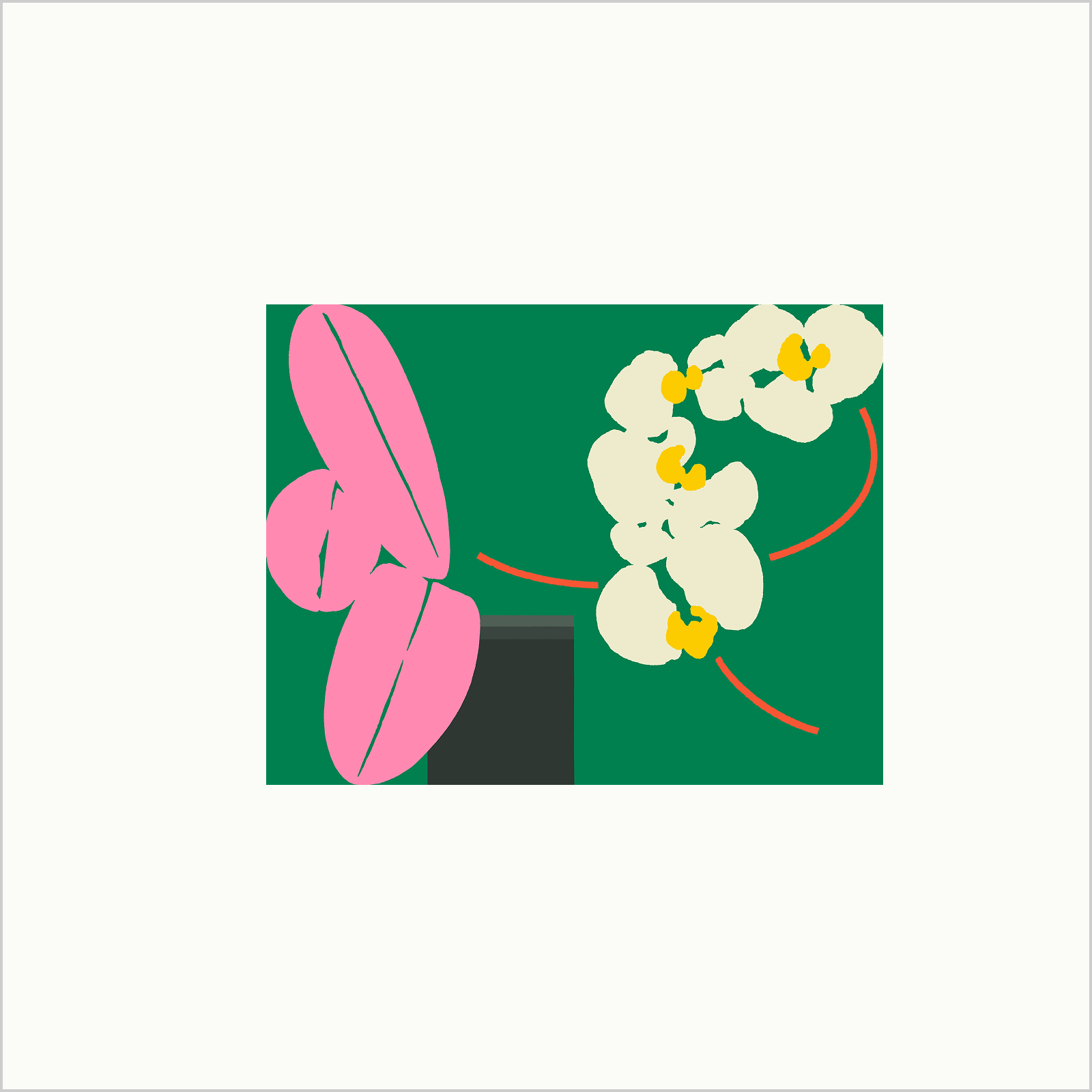 Plant Diary: Orchid Edition 09