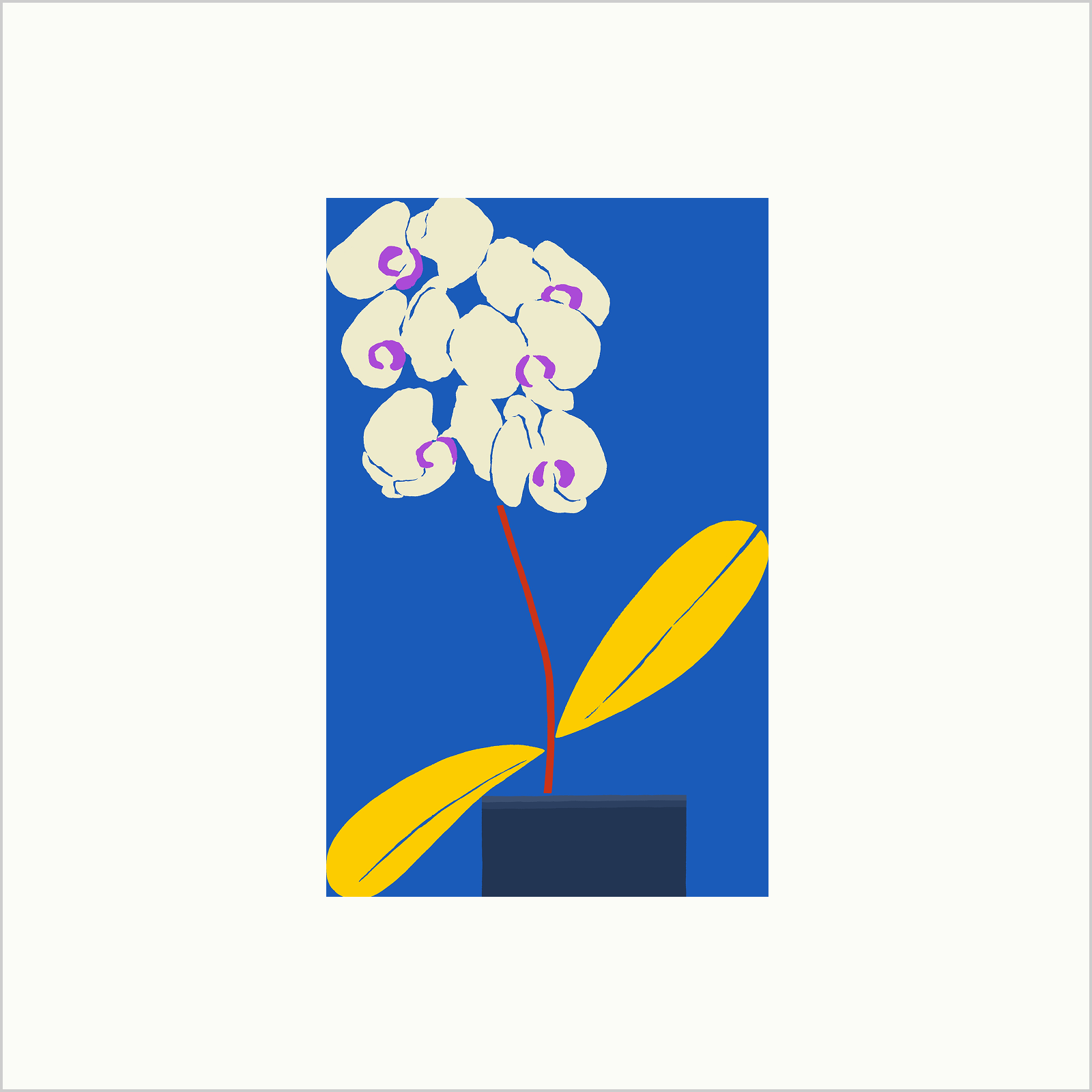 Plant Diary: Orchid Edition 01