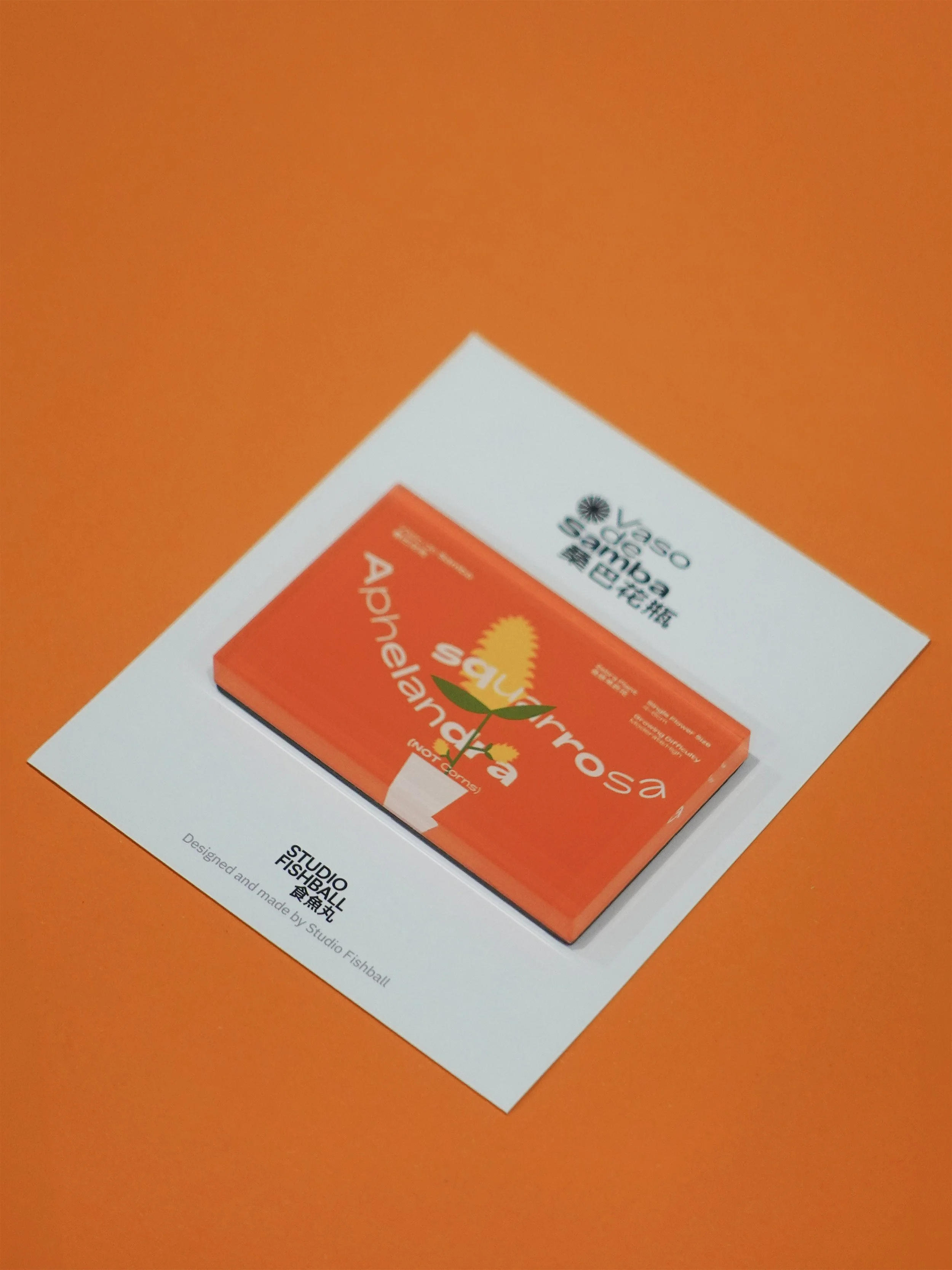 FM_桑巴02_01.jpg