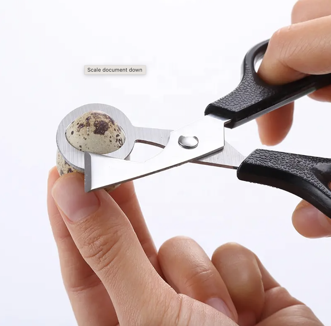 Quail Egg Scissors