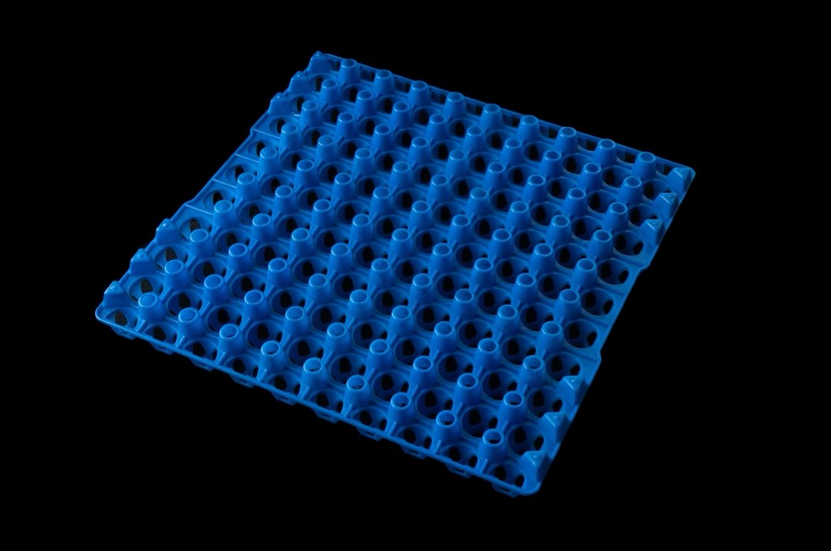 Quail Egg Tray