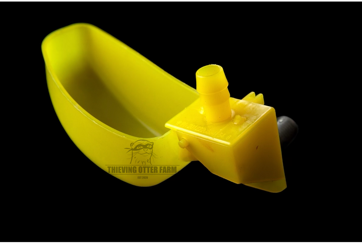 Automatic Quail Watering Cups