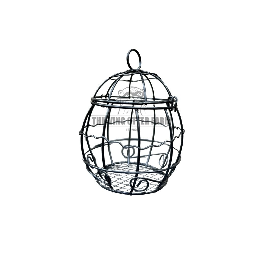 eZy Watermark_06-01-2026_01-14-14-2180PM.JPG