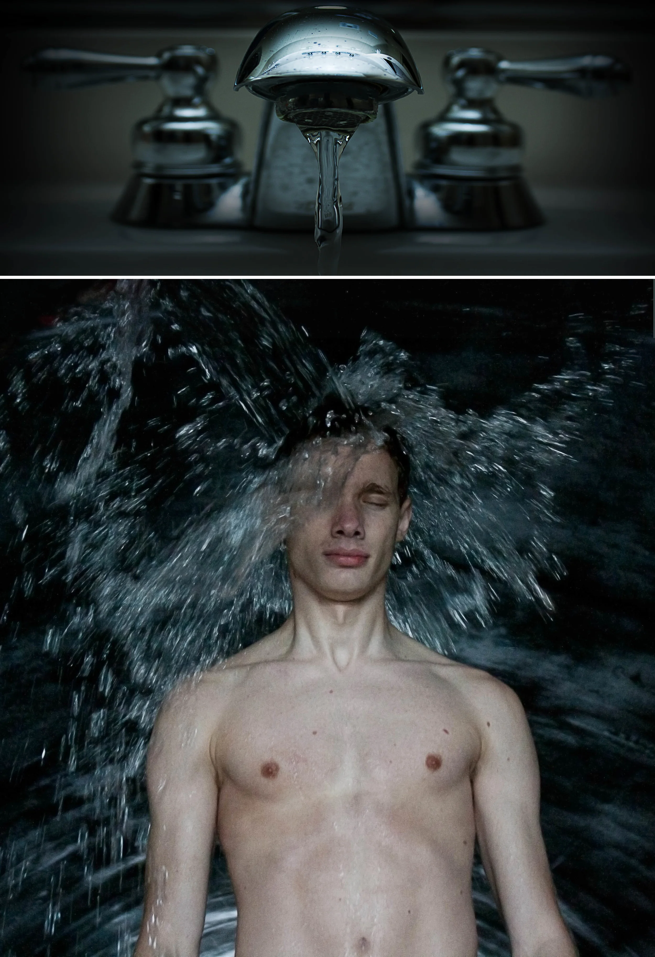 2011-10 will dyptych.jpg