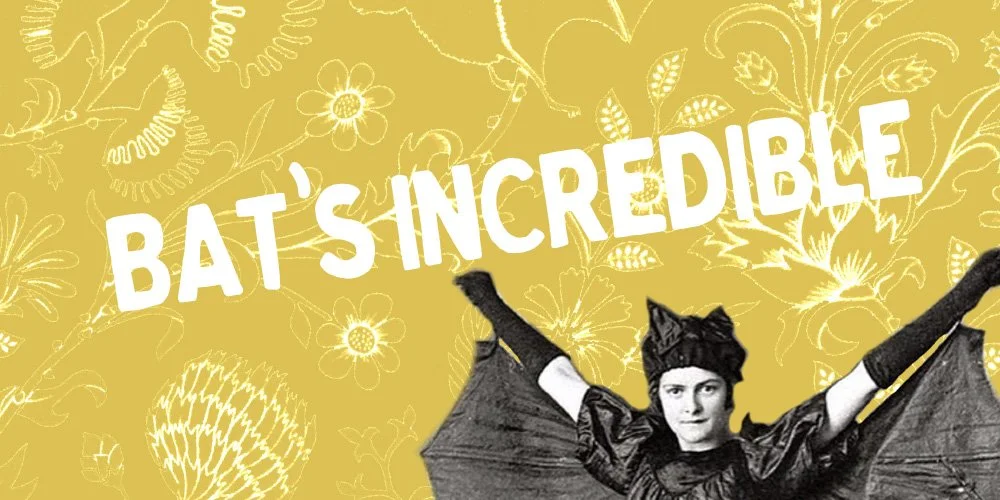 Napier - Bat's Incredible