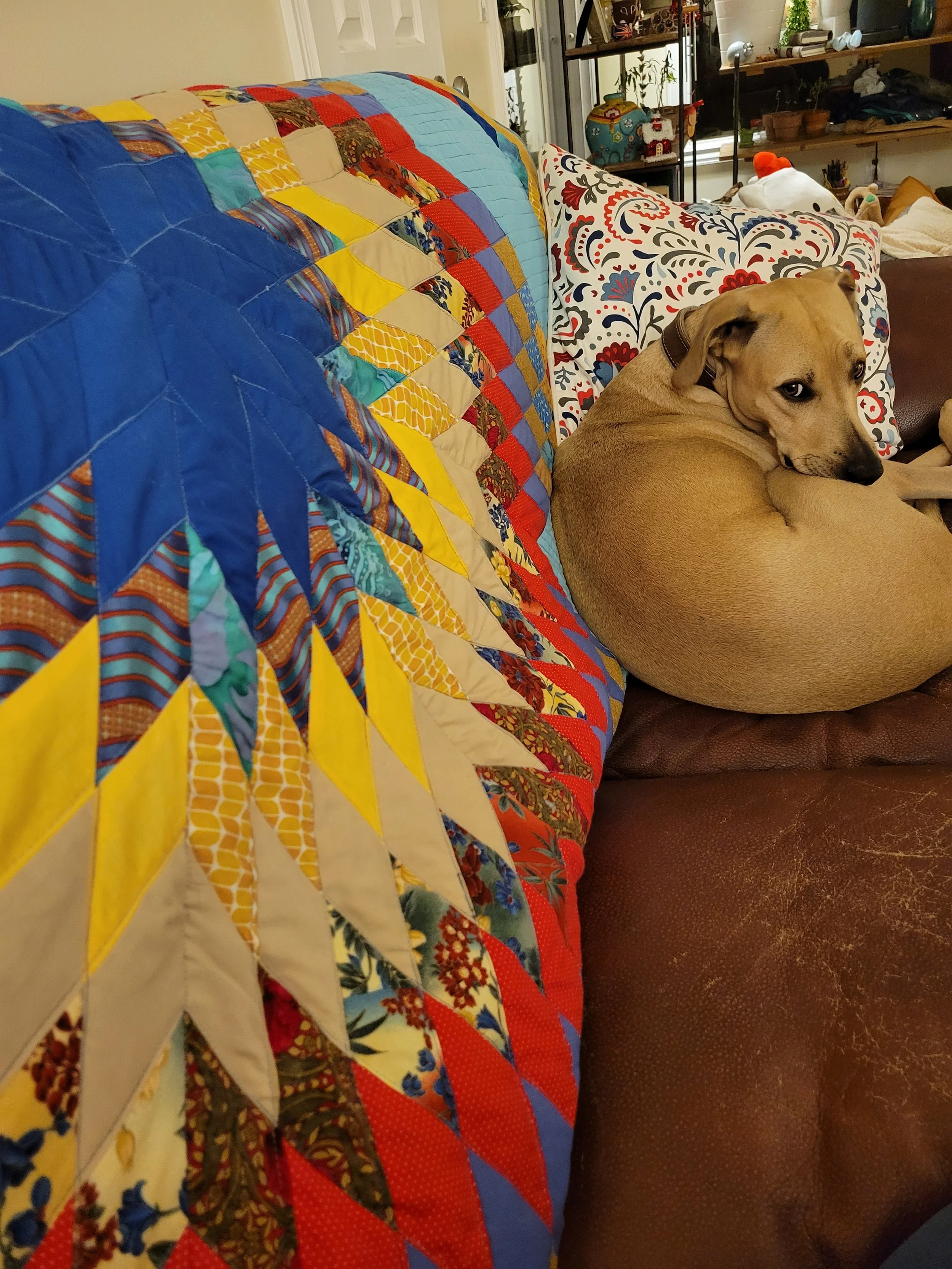 20221204_181552.jpg