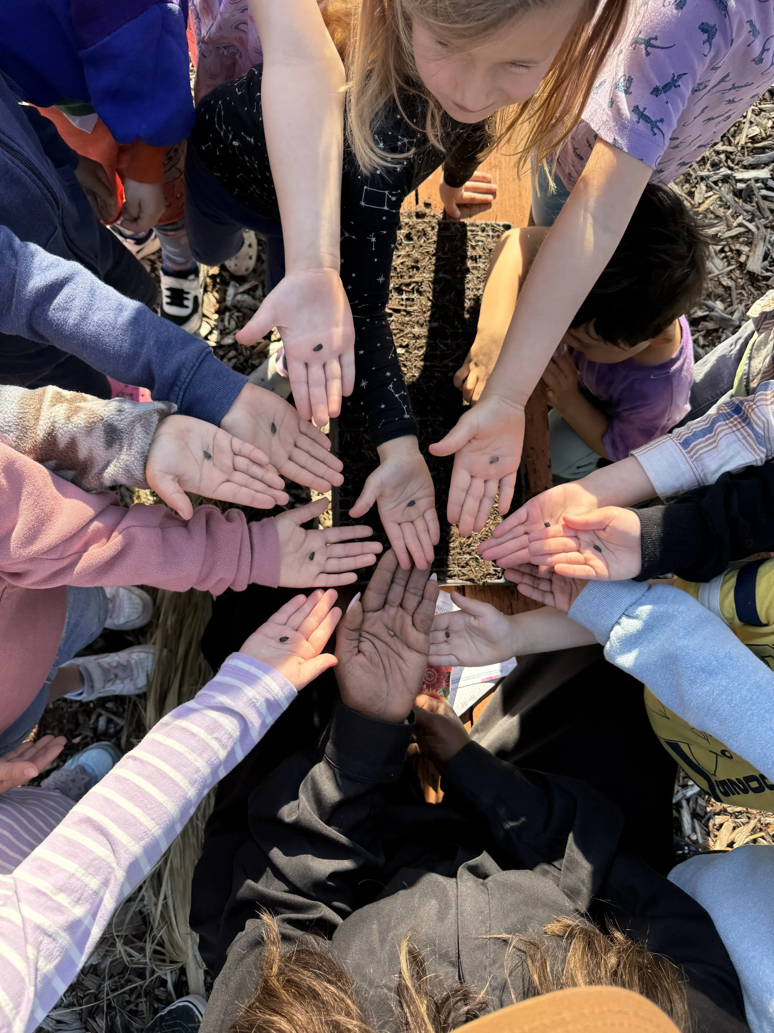 Aveson School of Leaders (ASL) — Aveson Charter School