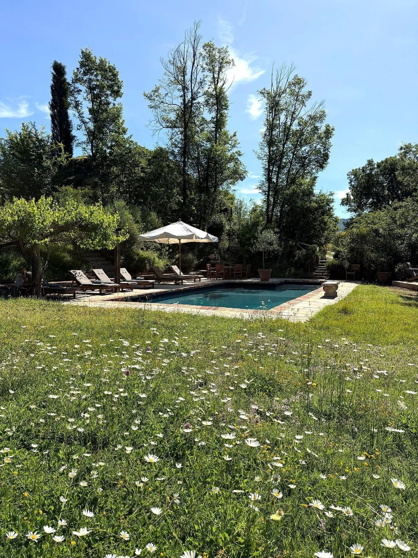 pool-parasol-daisies_bc90ff276803.jpg