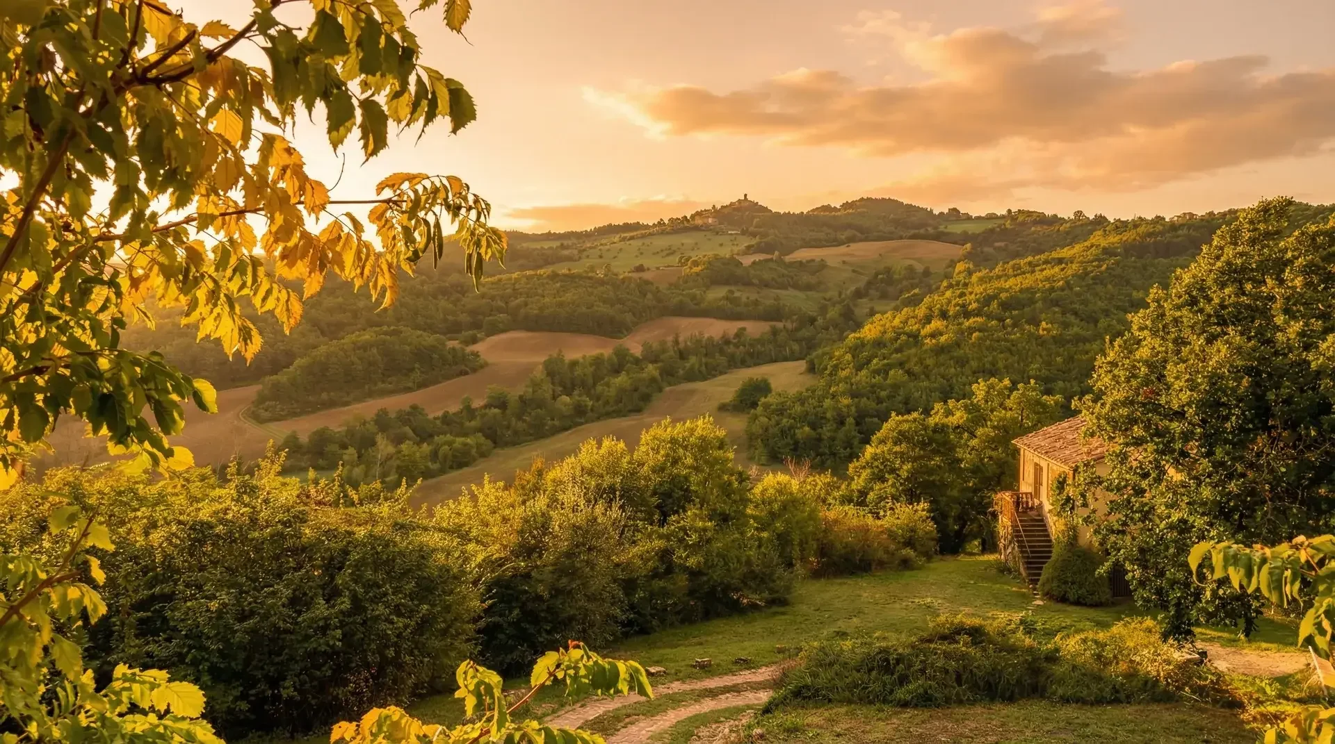 landscape_optimized_44798d66.webp