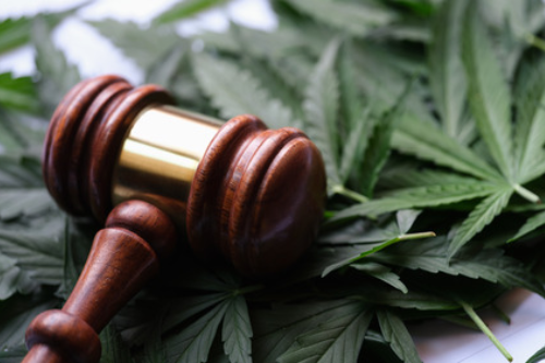 Cannabis Government Regulatory Agency Training, Cannabis regulatory program management ,Cannabis applications, cannabis licensing, cannabis compliance, cannabis enforcement, Onsite cannabis compliance inspections, cannabis inventory audit