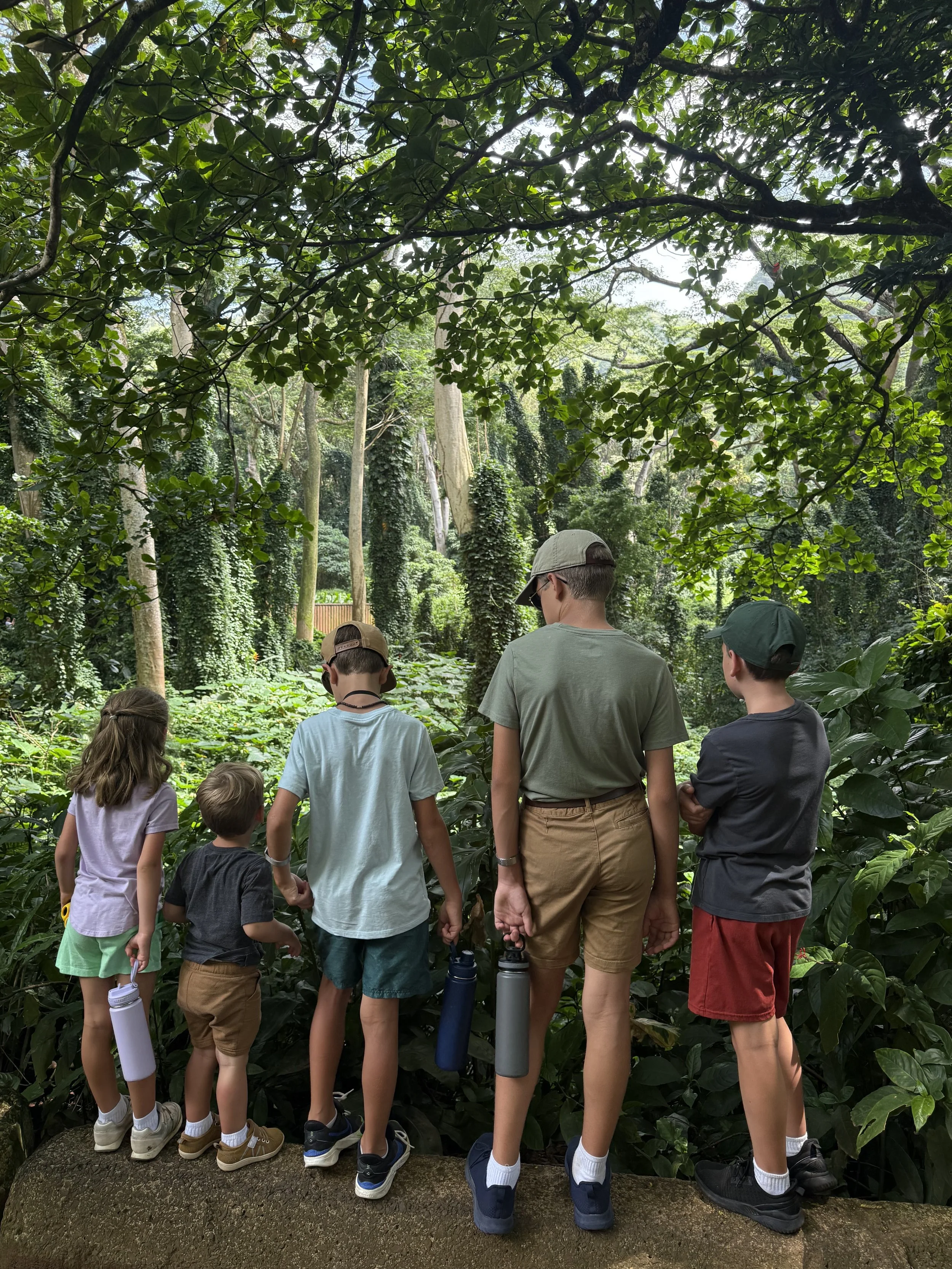 Group of children and teenagers observing plants or trees in a lush green botanical garden or forest setting.