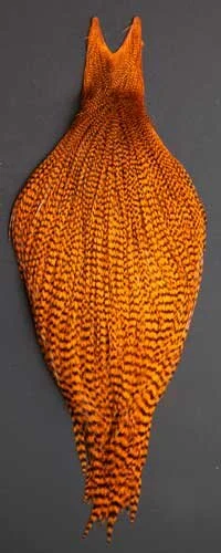 Grizzly - Natural and dyed colors