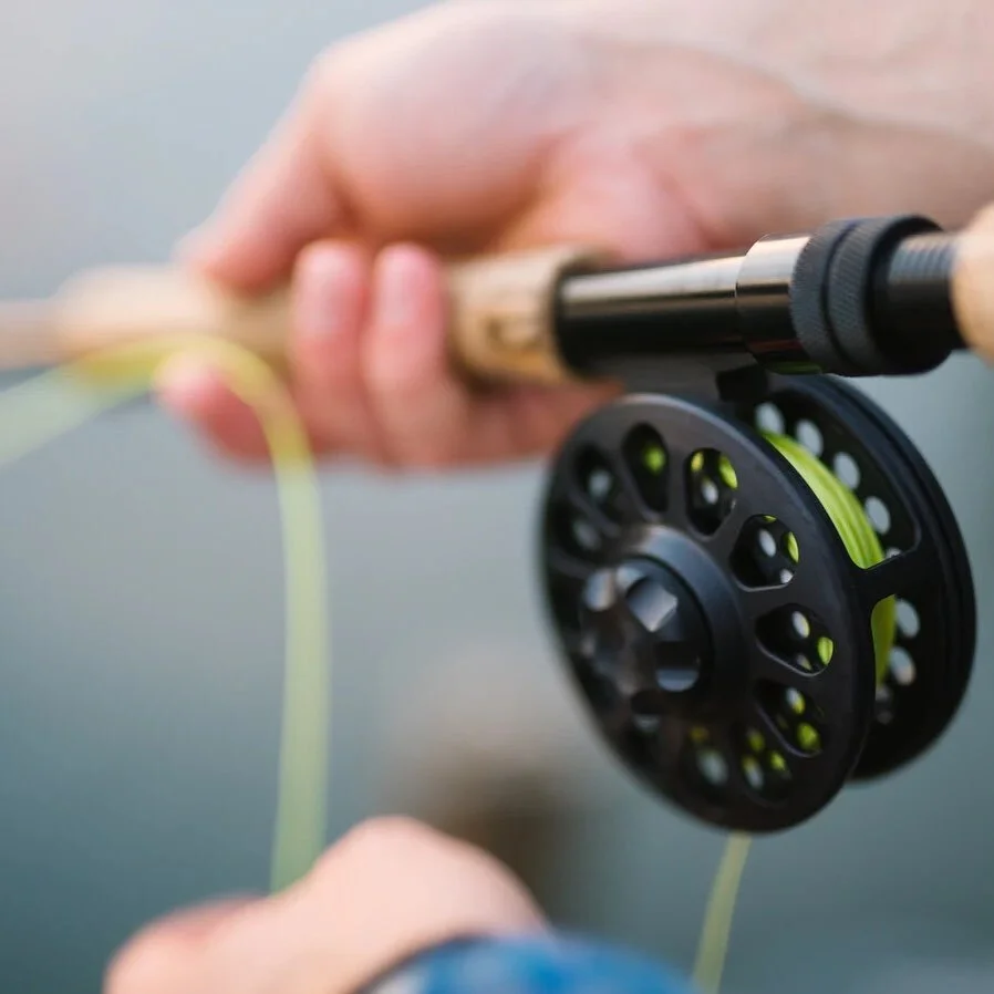 Who needs flies?
