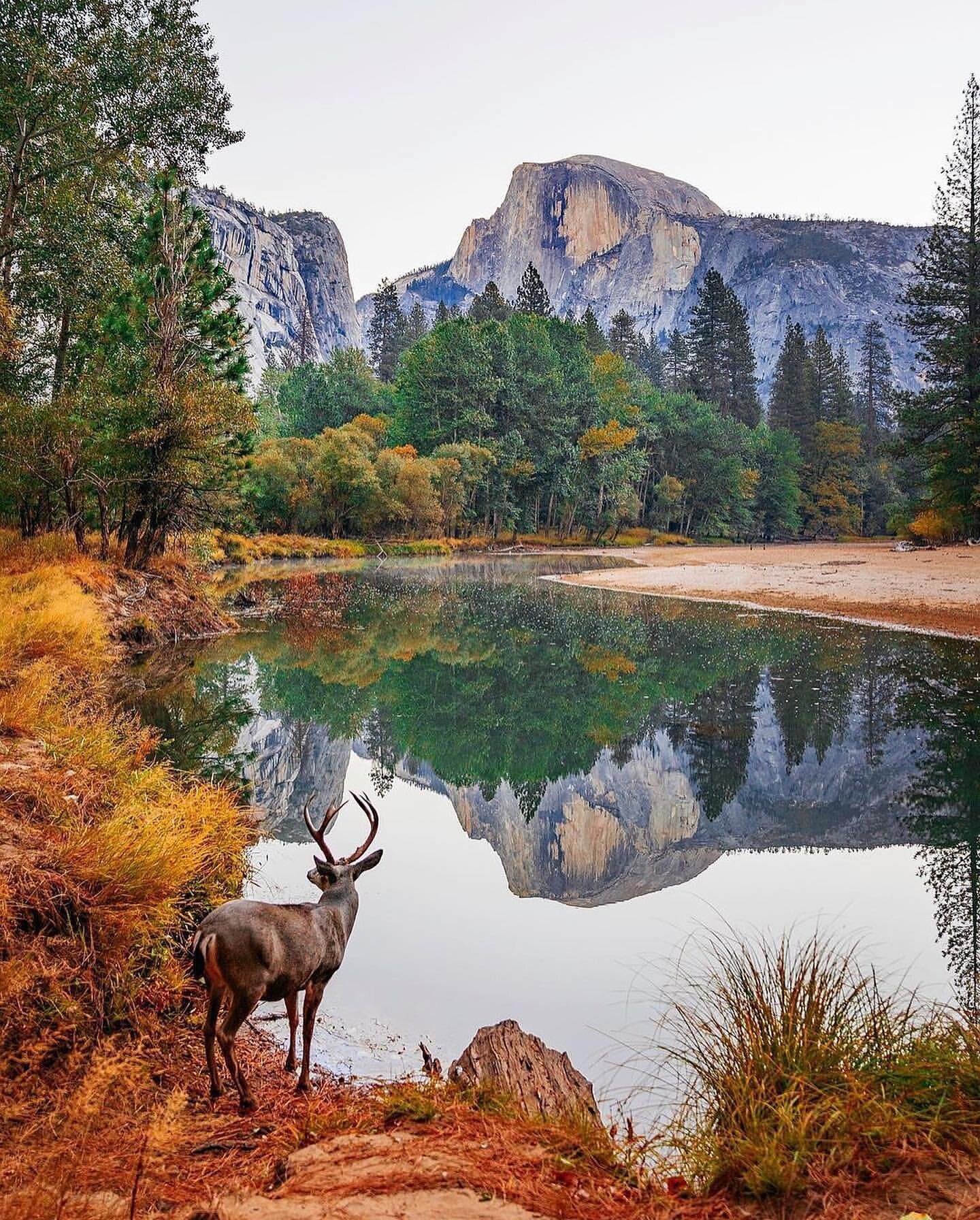 Travel Tuesday - Let&rsquo;s Go!
Do you like to hike?

Rising nearly 5,000 feet above Yosemite Valley and 8,800 feet above sea level, Half Dome is a Yosemite icon and a great challenge to many hikers!

Best Things To Do:
- Camping
- Lodging
- Hiking
