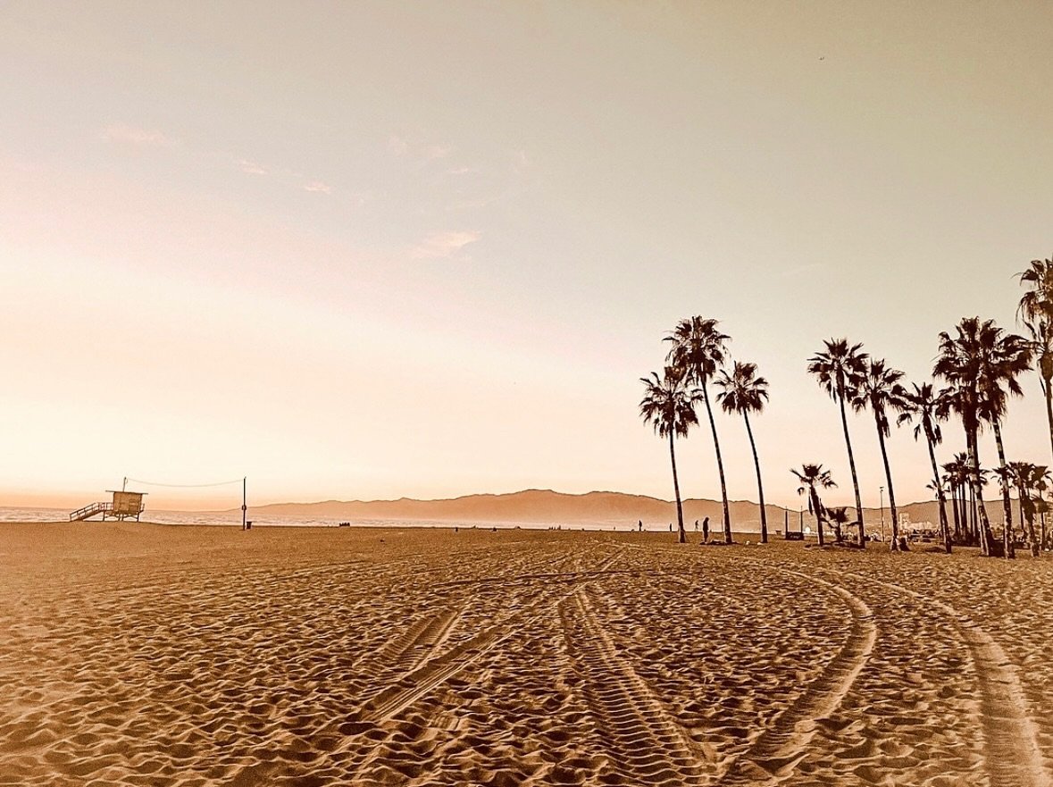 LA moments 🎞️

 If you&rsquo;re interested in purchasing art for your home I sell fine art prints of my photography from all around the world 🌎

#supportsmallbusiness #shopsmall