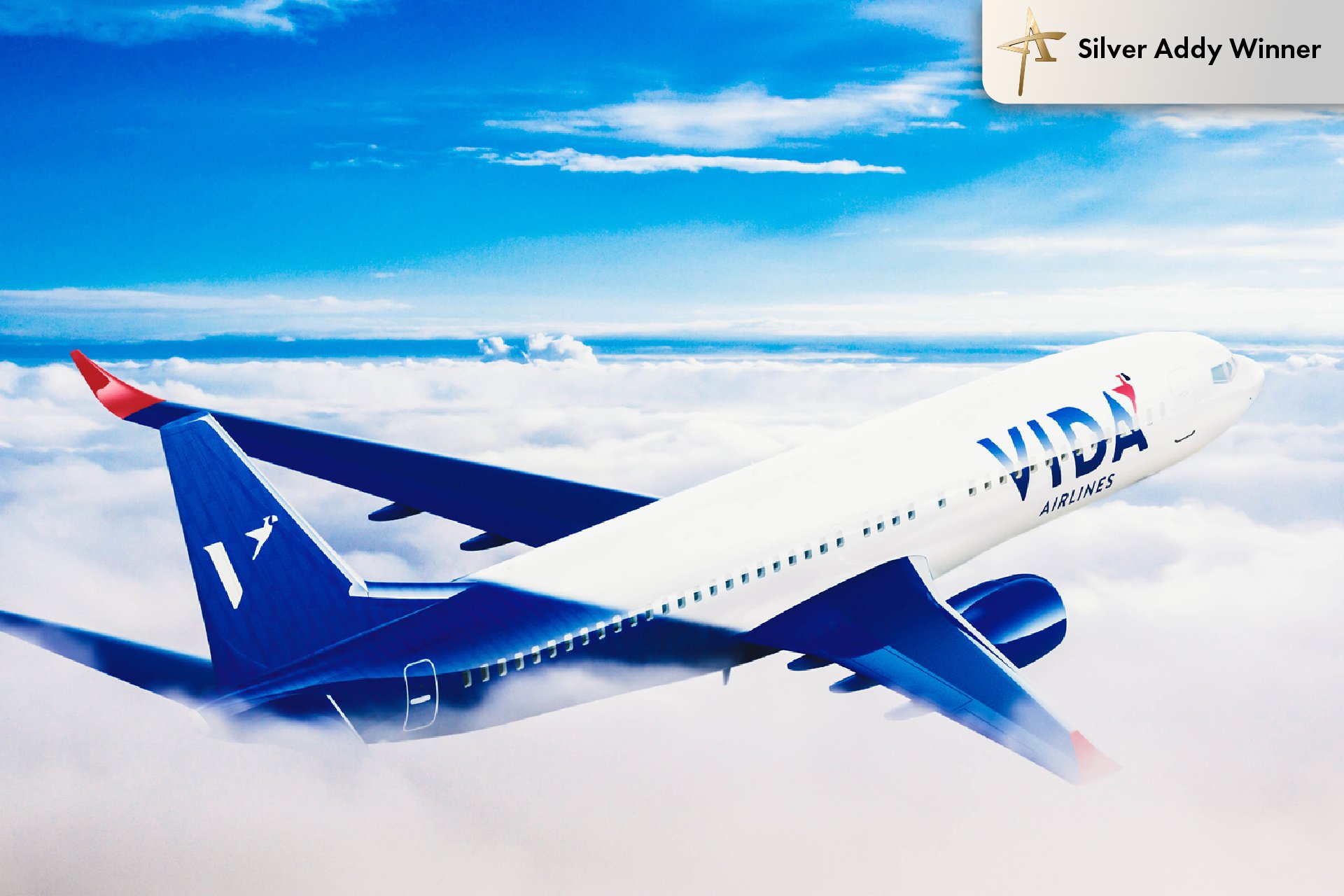 Vida Air // Branding a Premium Costa Rican Airline